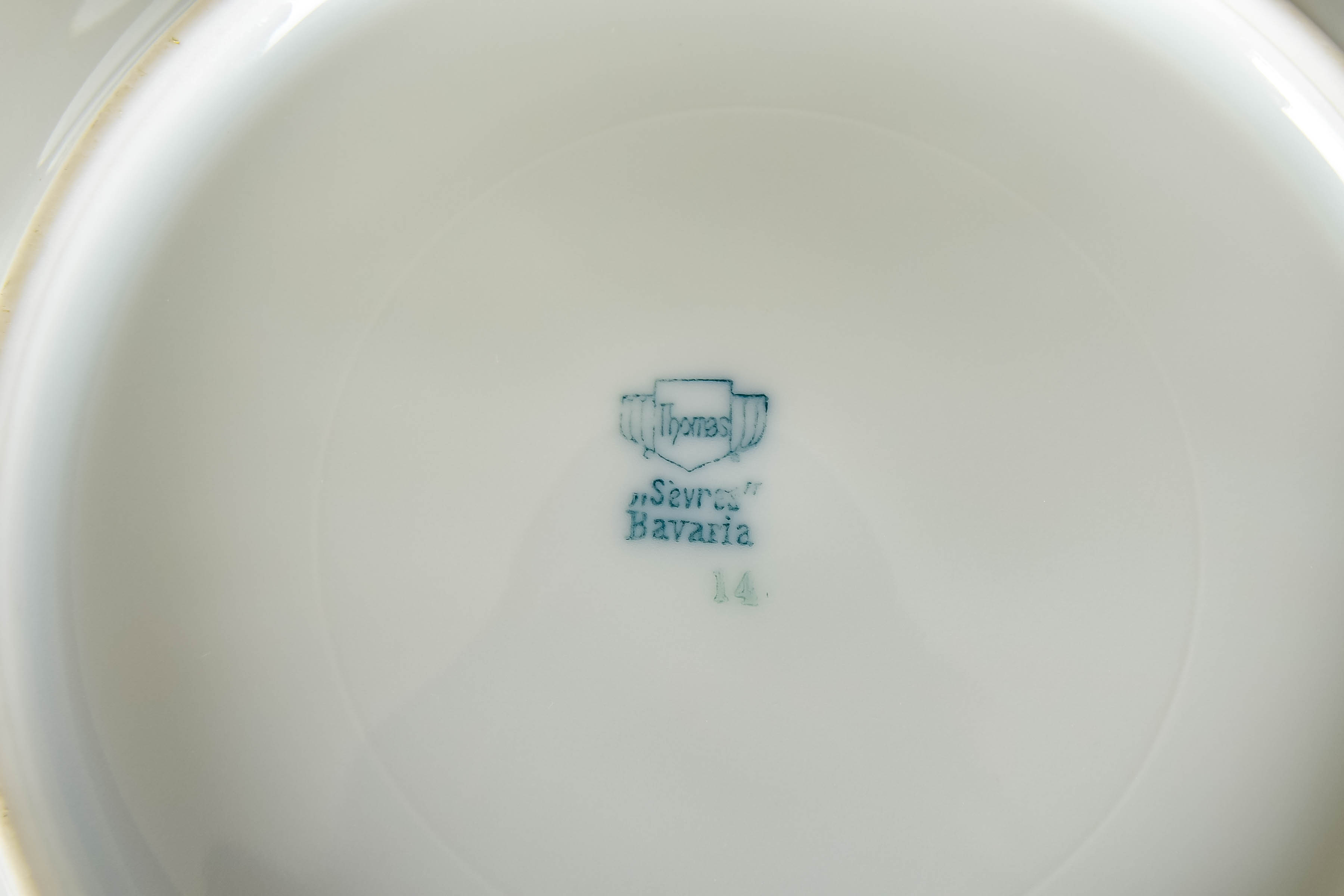 Vintage Thomas Sevres Bavaria China