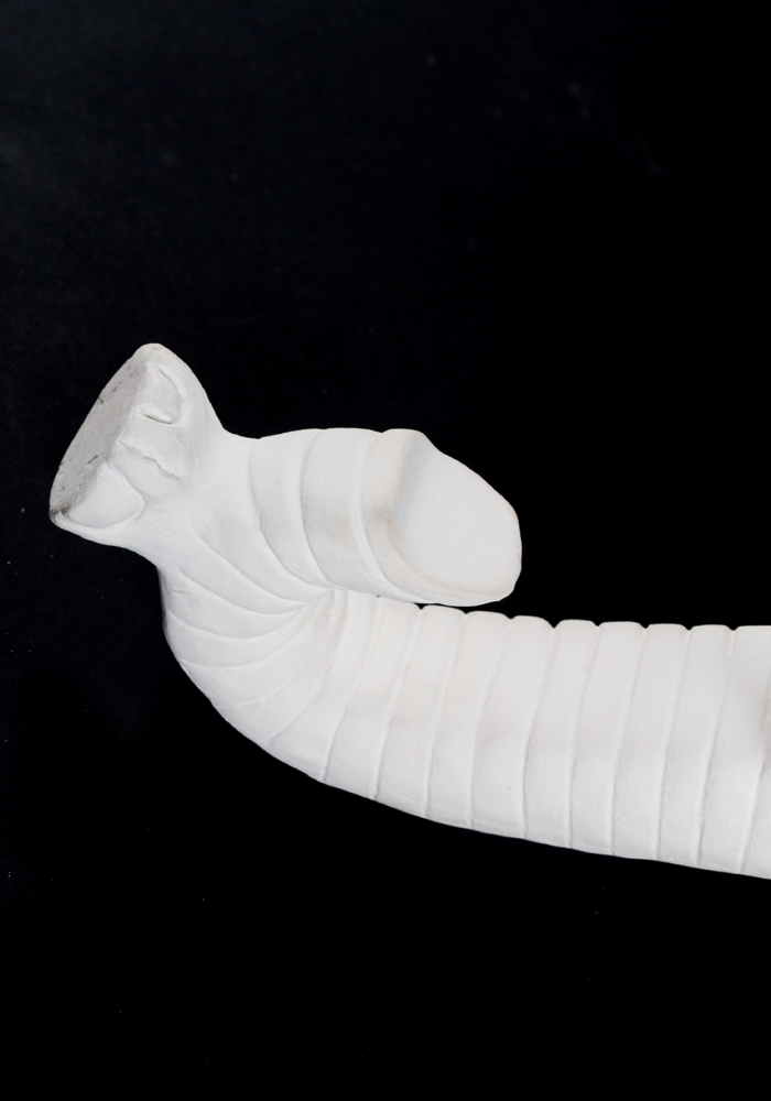 Elephant Wall Sconce Shelves