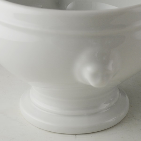 Apilco Porcelain Soup Tureen With Soup Bowls