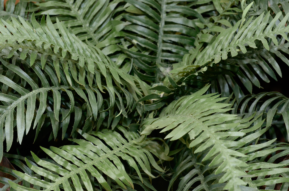 Five Fine Copper Canisters and Vessels