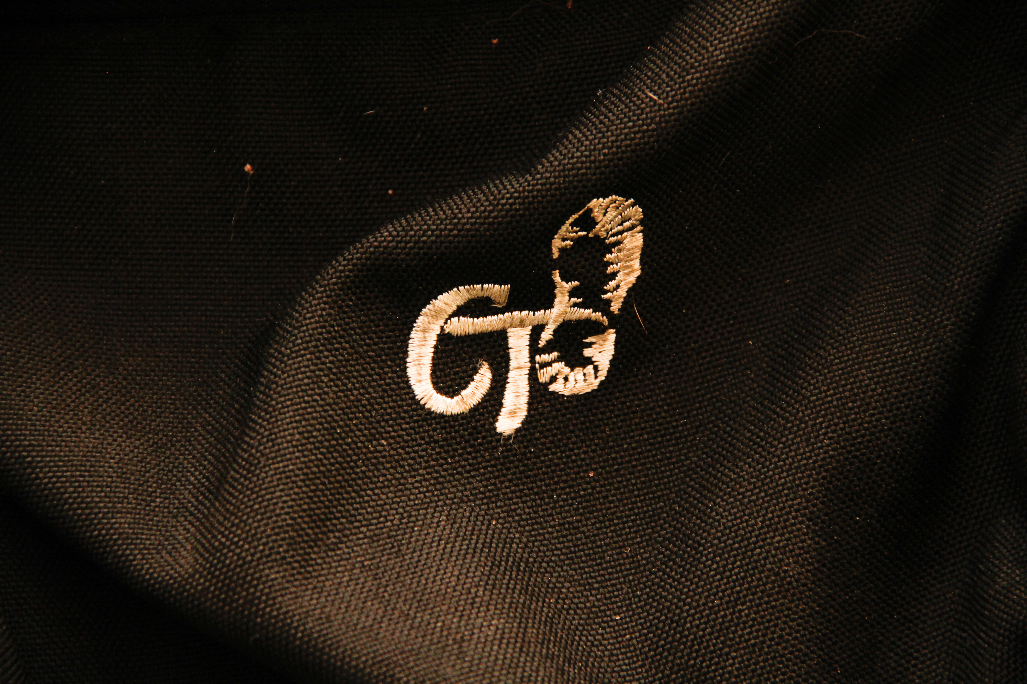 Pair of Travel Backpacks