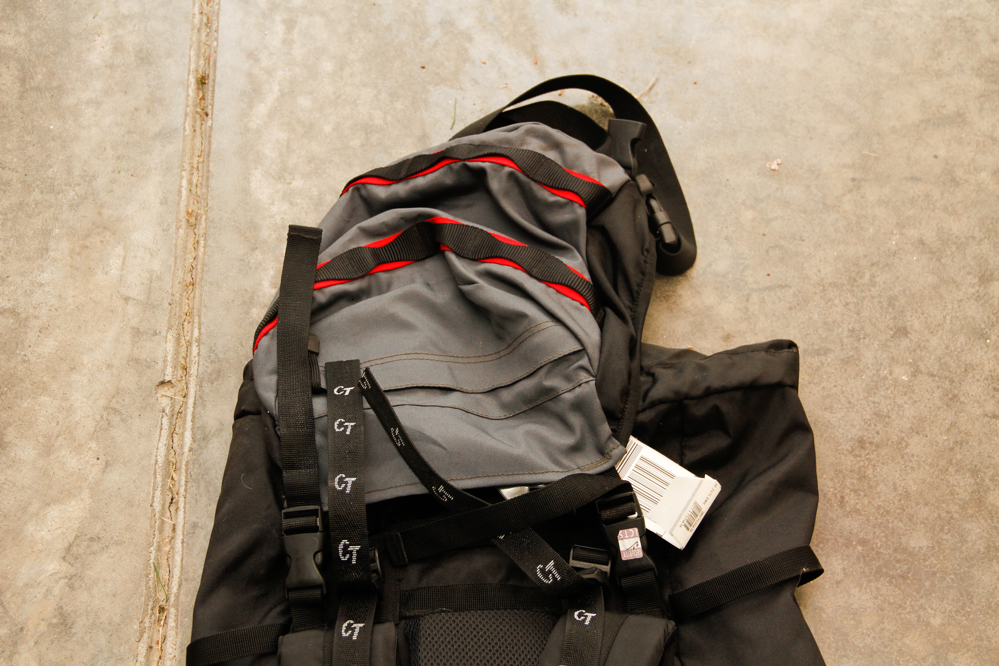 Pair of Travel Backpacks