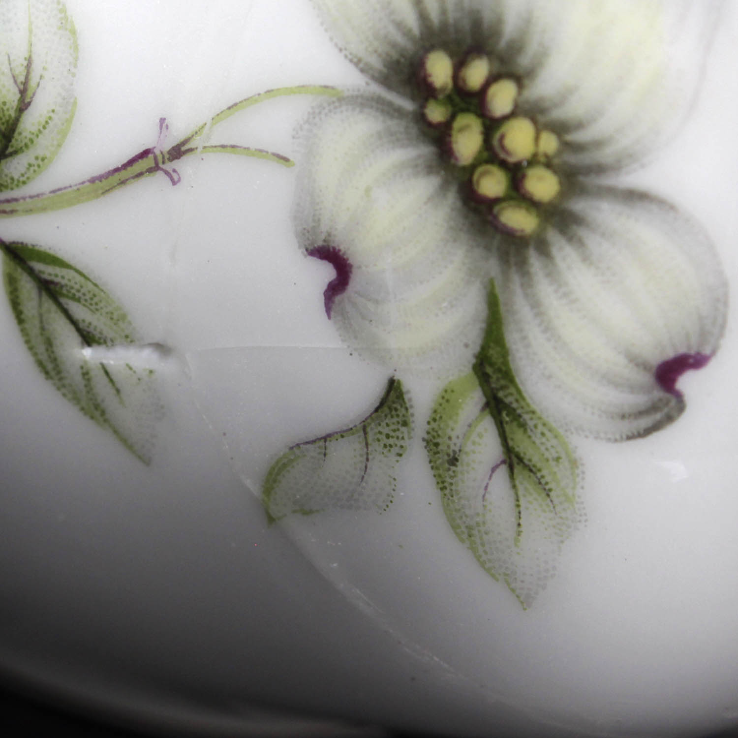 Collection of Vintage Meito Norleans Livonia Dogwood China