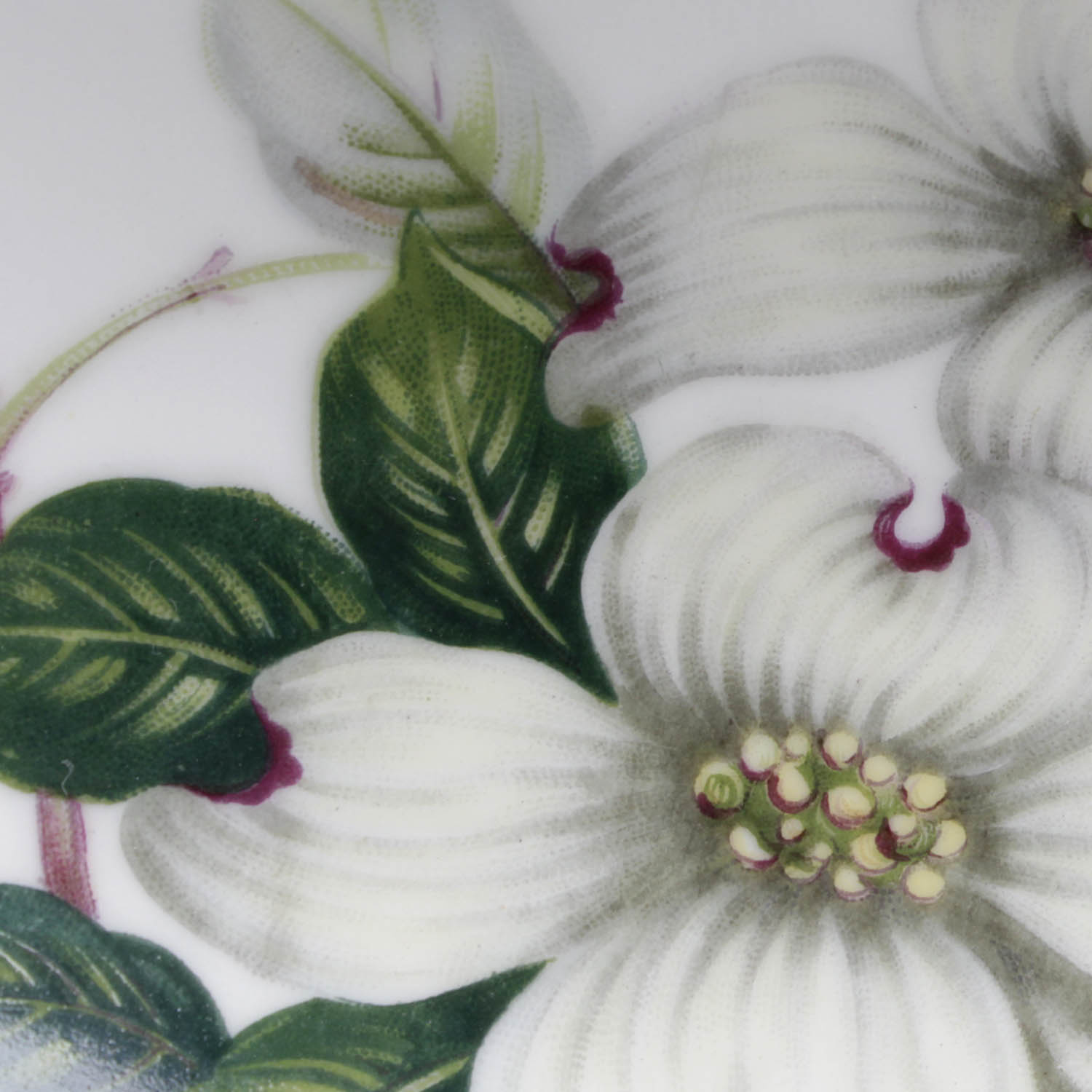 Collection of Vintage Meito Norleans Livonia Dogwood China