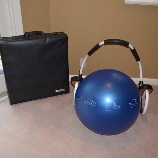Ab Roller Fitness Trainer, GoFit Pro Stability Ball and Crown Gym Exercise Mat