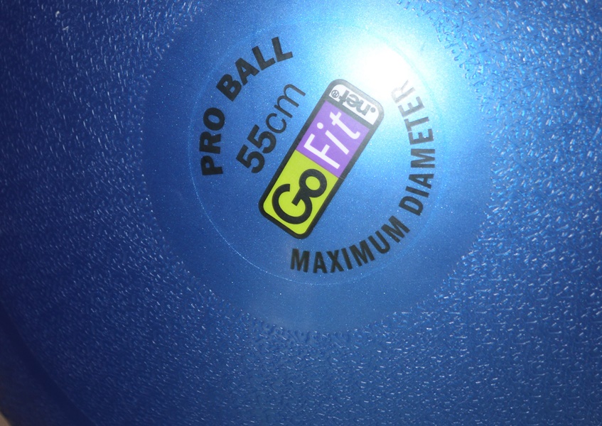 Ab Roller Fitness Trainer, GoFit Pro Stability Ball and Crown Gym Exercise Mat