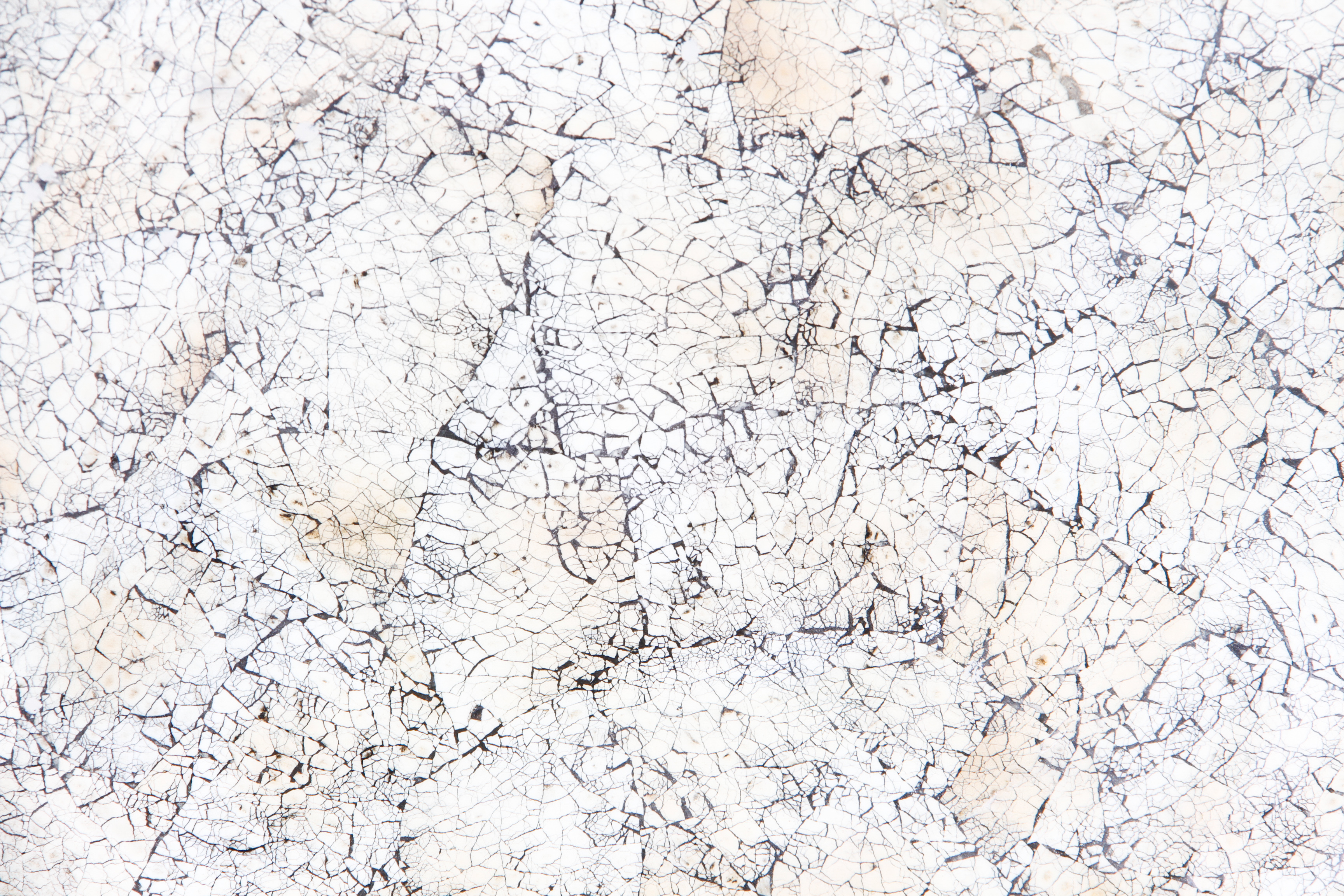 Decorative Wooden Bowl