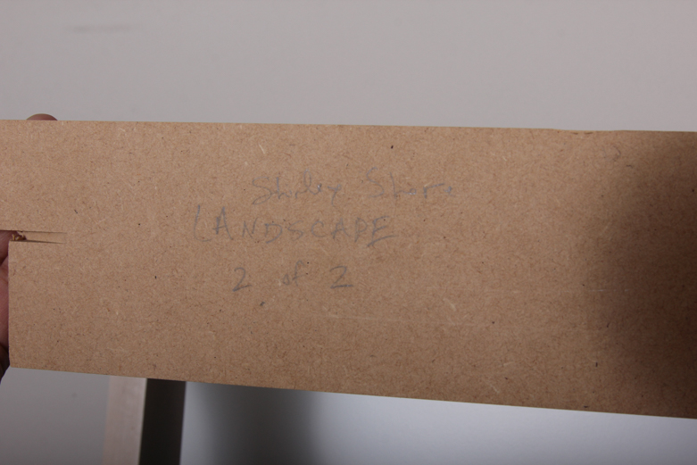 New Media Digital Artwork Titled "Spit" by Shirley Shor