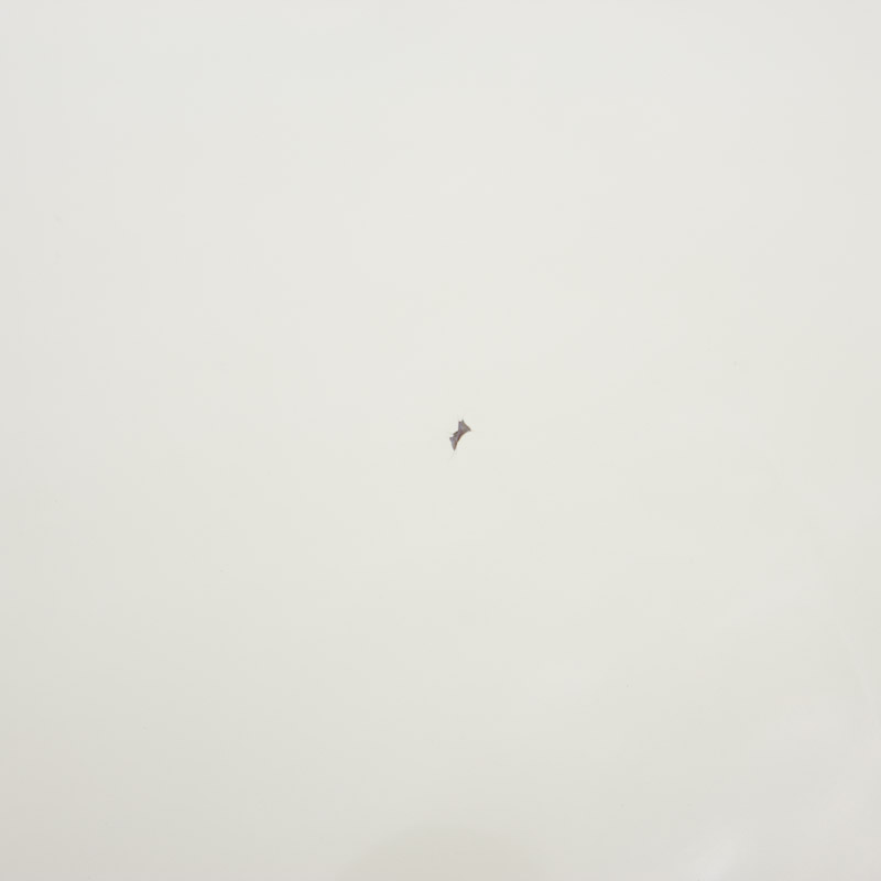 Classic 1960 Thunderbird