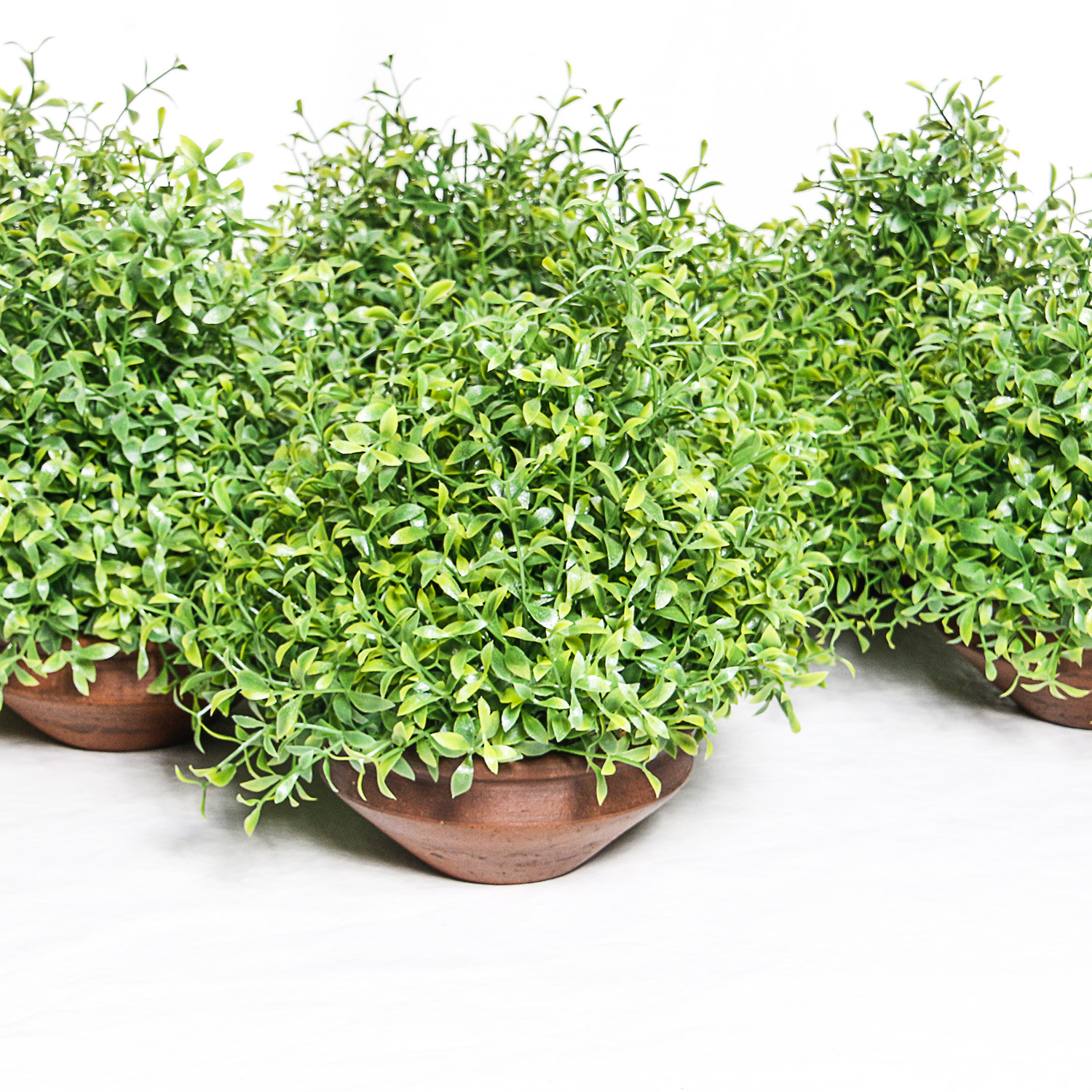 Collection of Eight Silk Plants with Pottery Vases