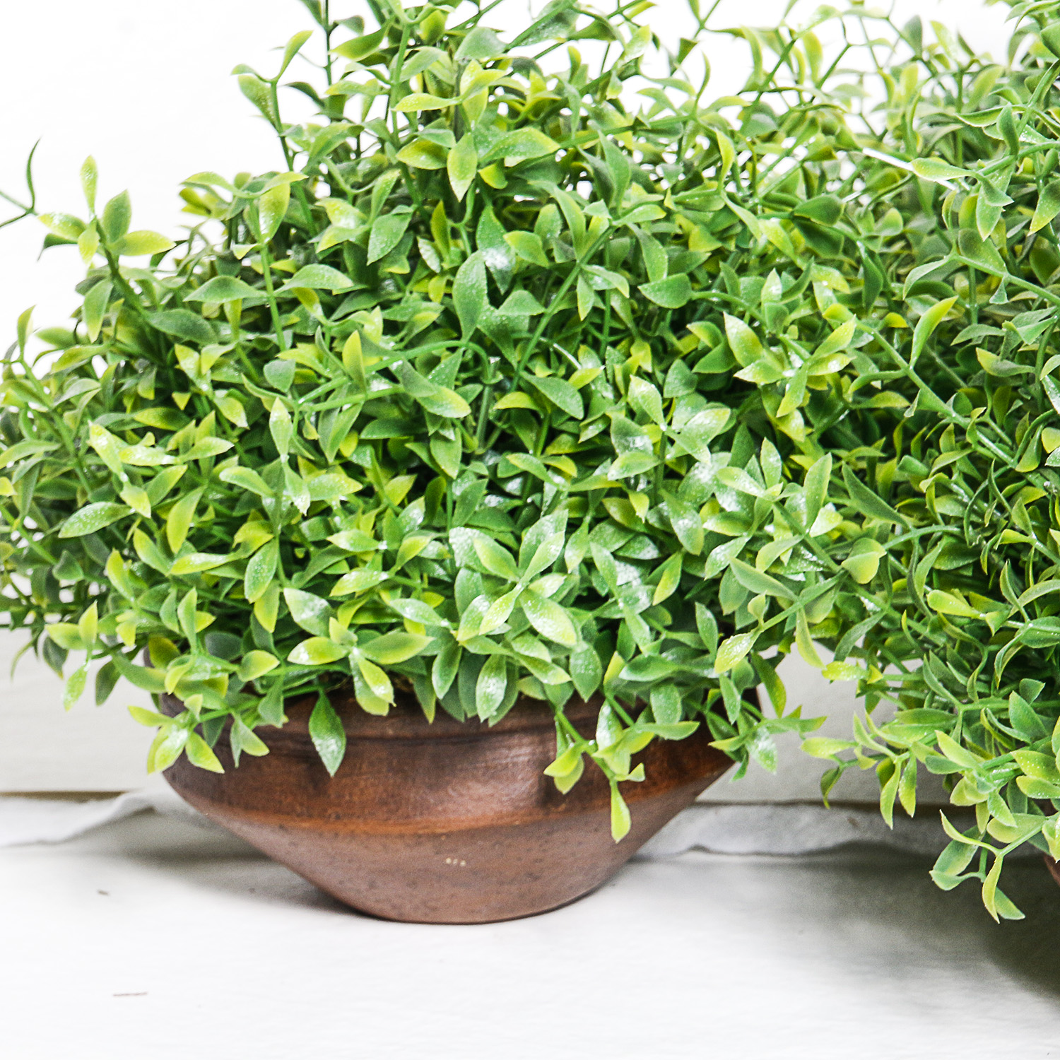 Collection of Eight Silk Plants with Pottery Vases