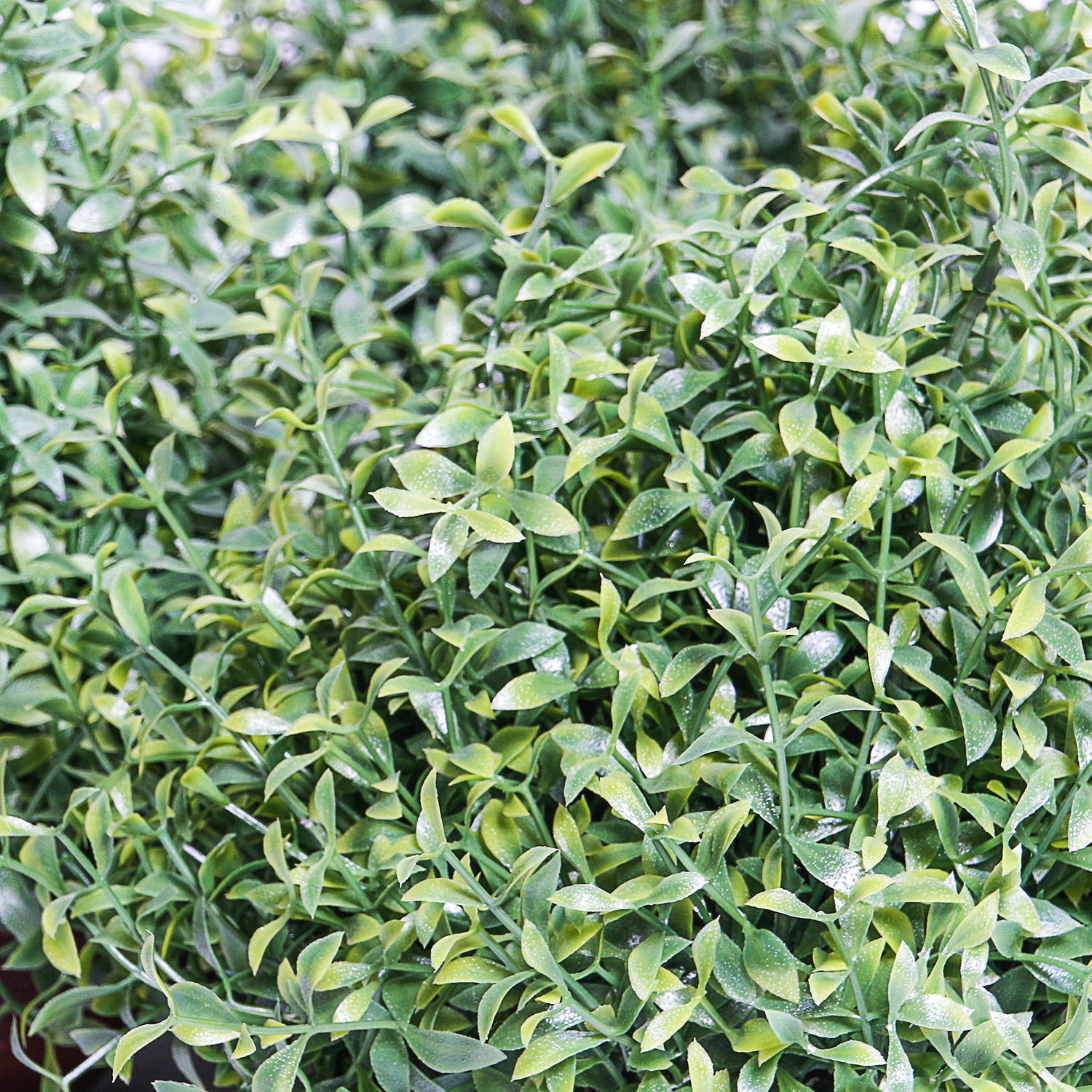Collection of Eight Silk Plants with Pottery Vases