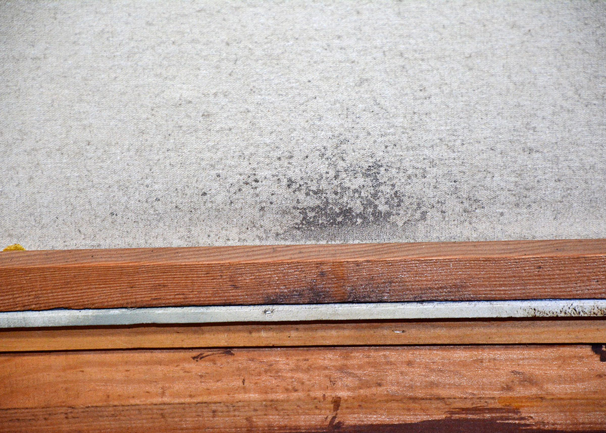 Large Framed and Signed Landscape Oil Painted by Beaker