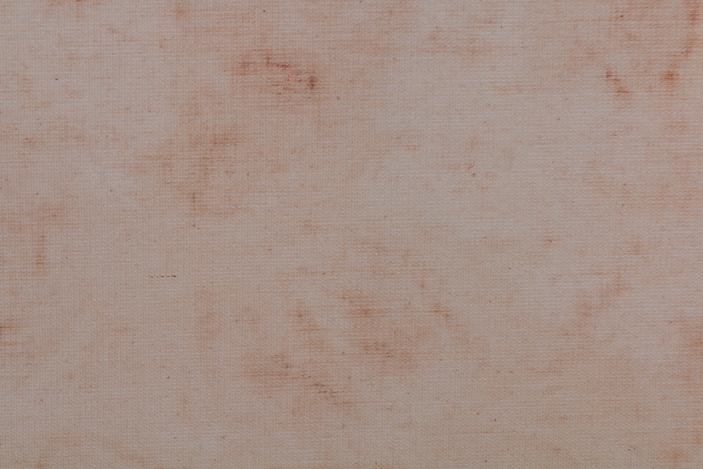 Rose Ella Forsythe Original Signed Still Life Painting