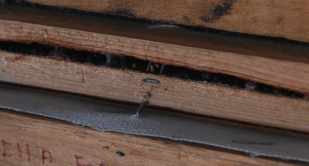 Rose Ella Forsythe Original Signed Still Life Painting