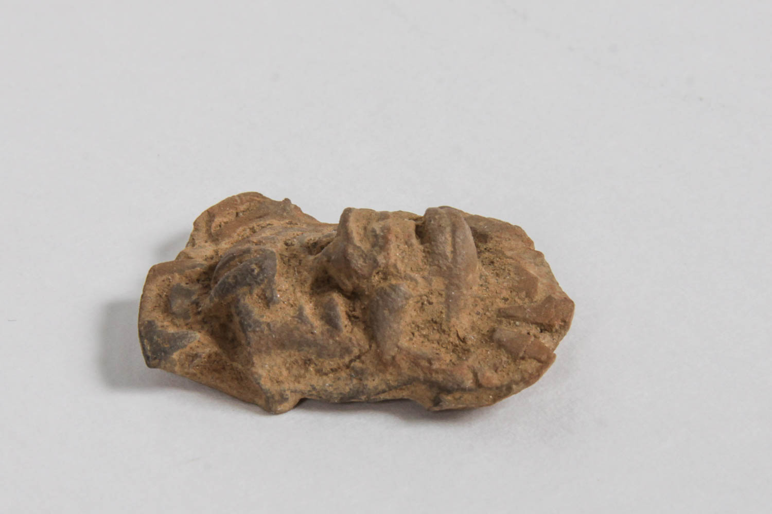 Collection of Stone and Pottery Shards