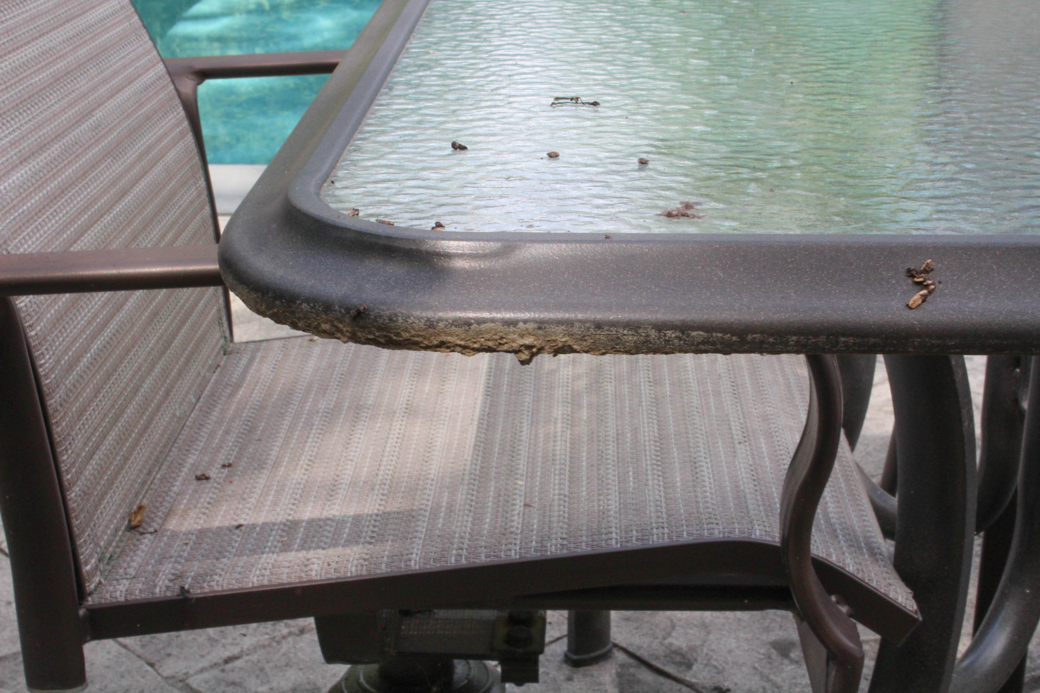 Patio Dining Set by Martha Stewart Living