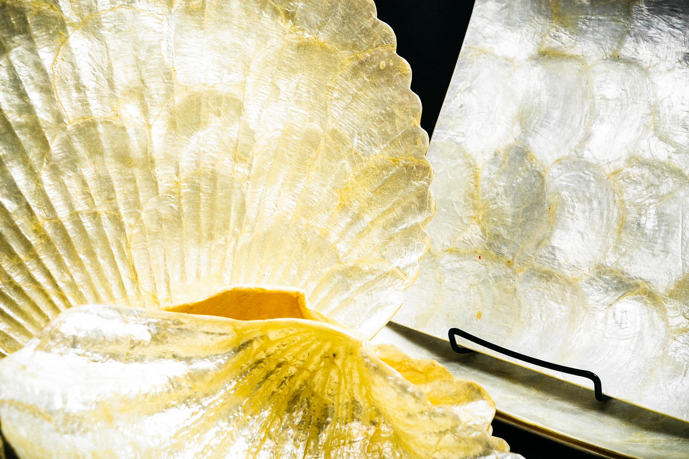 Collection of Capiz Shell Dishes