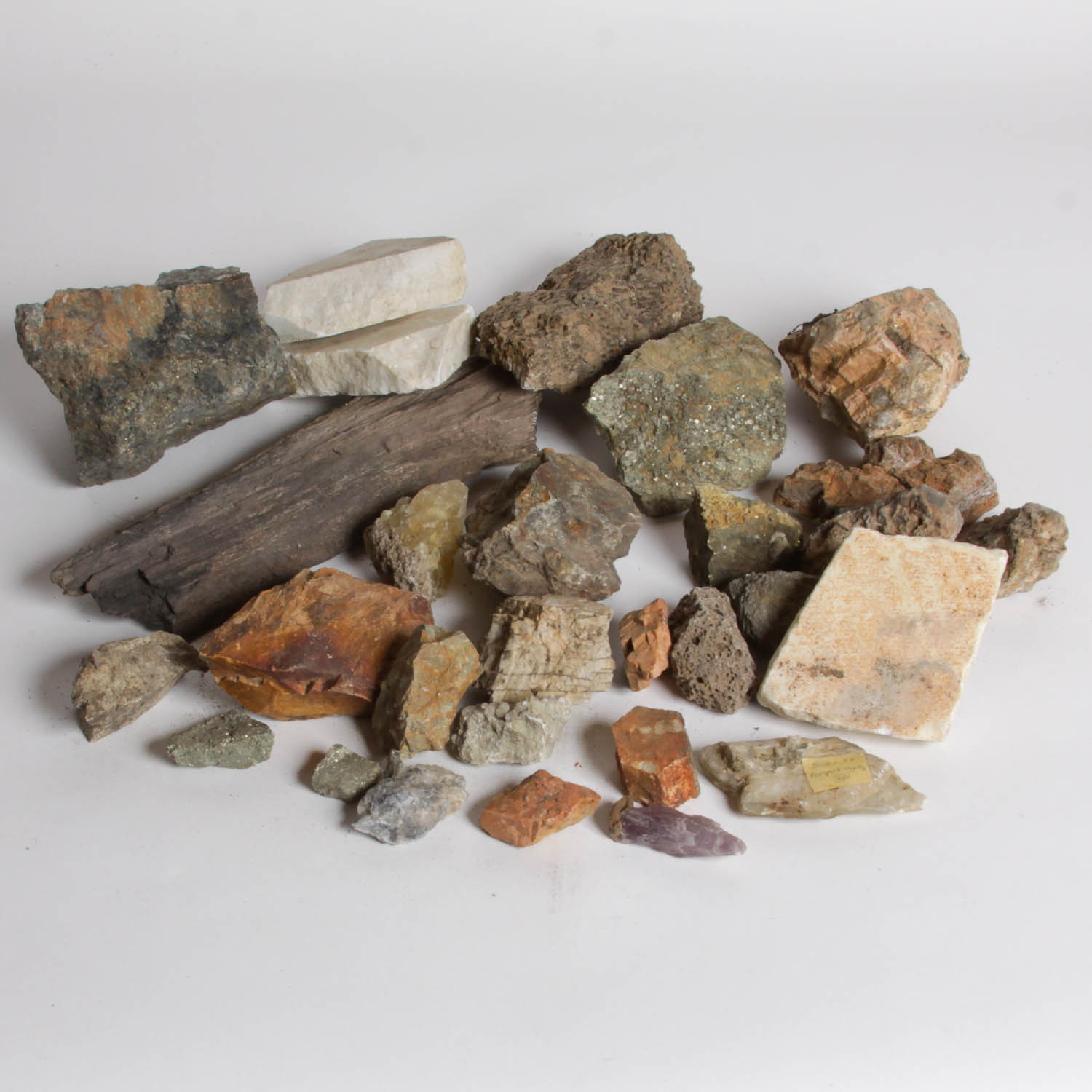 Collection of Petrified Wood, Fossils, and Rocks