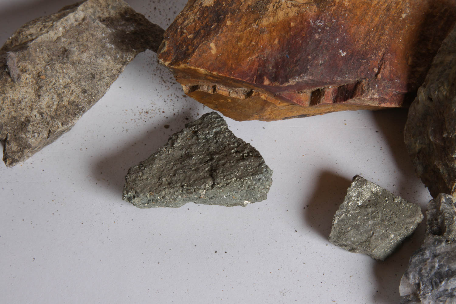 Collection of Petrified Wood, Fossils, and Rocks