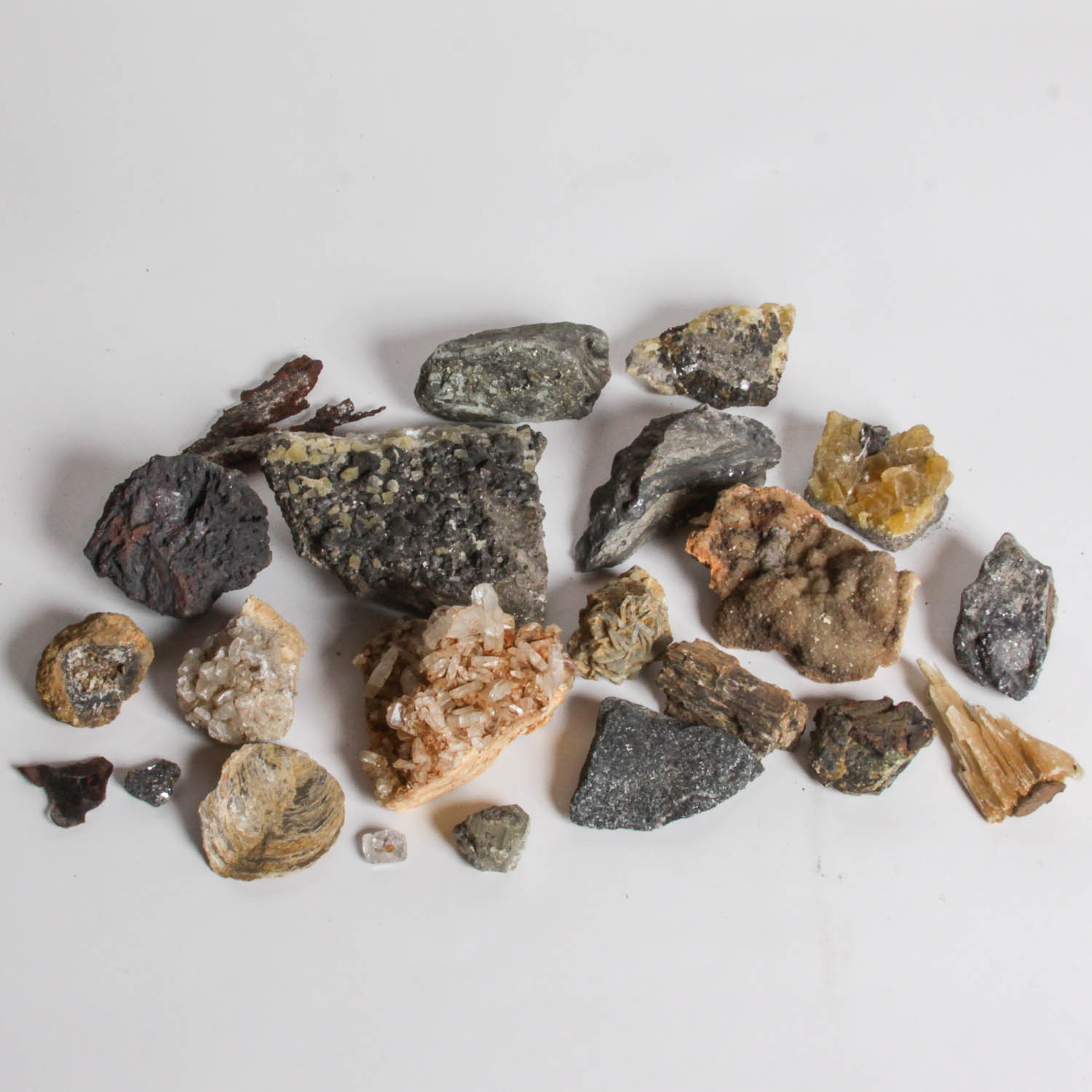 Collection of Rocks, Minerals, Fossils and Crystals