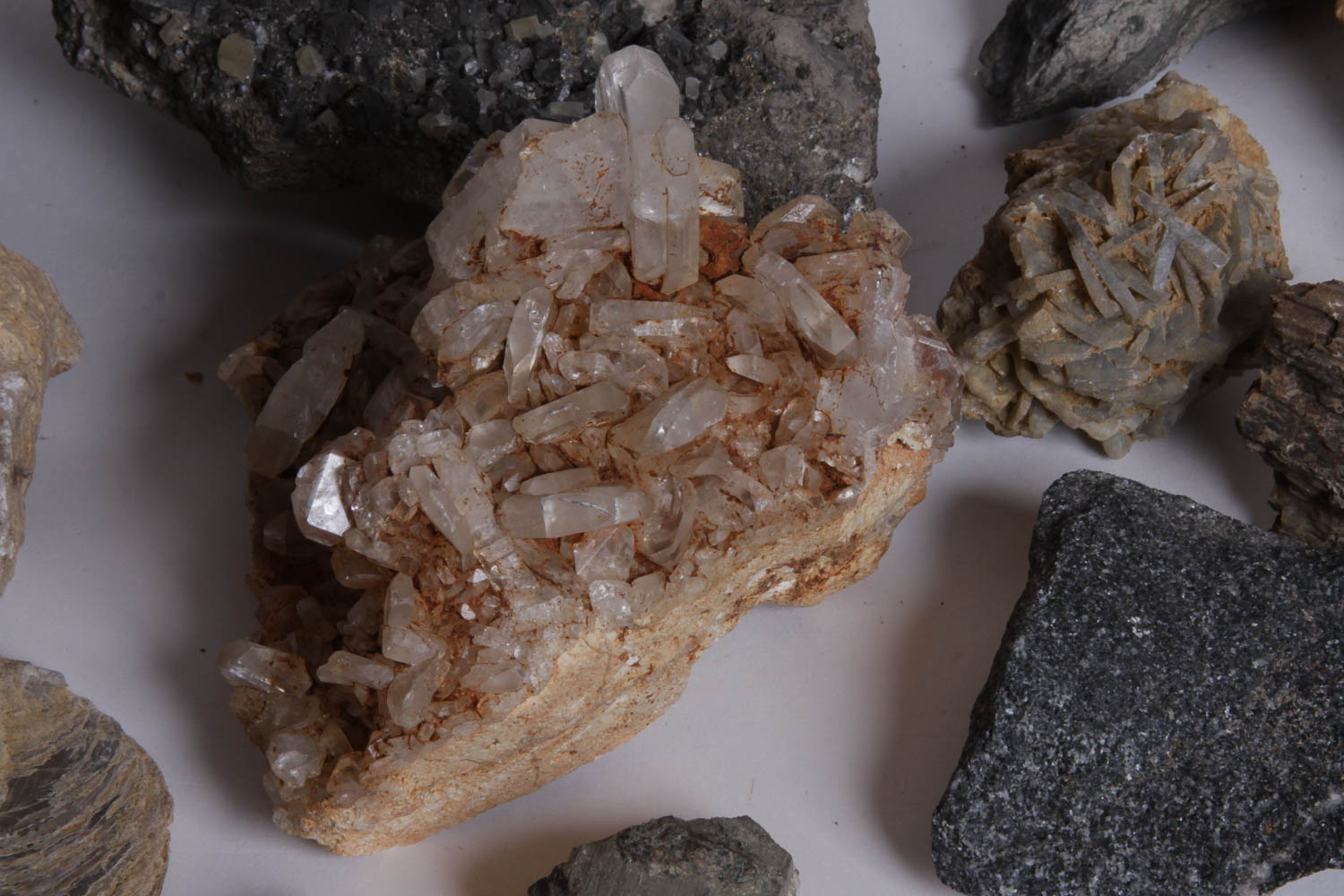 Collection of Rocks, Minerals, Fossils and Crystals