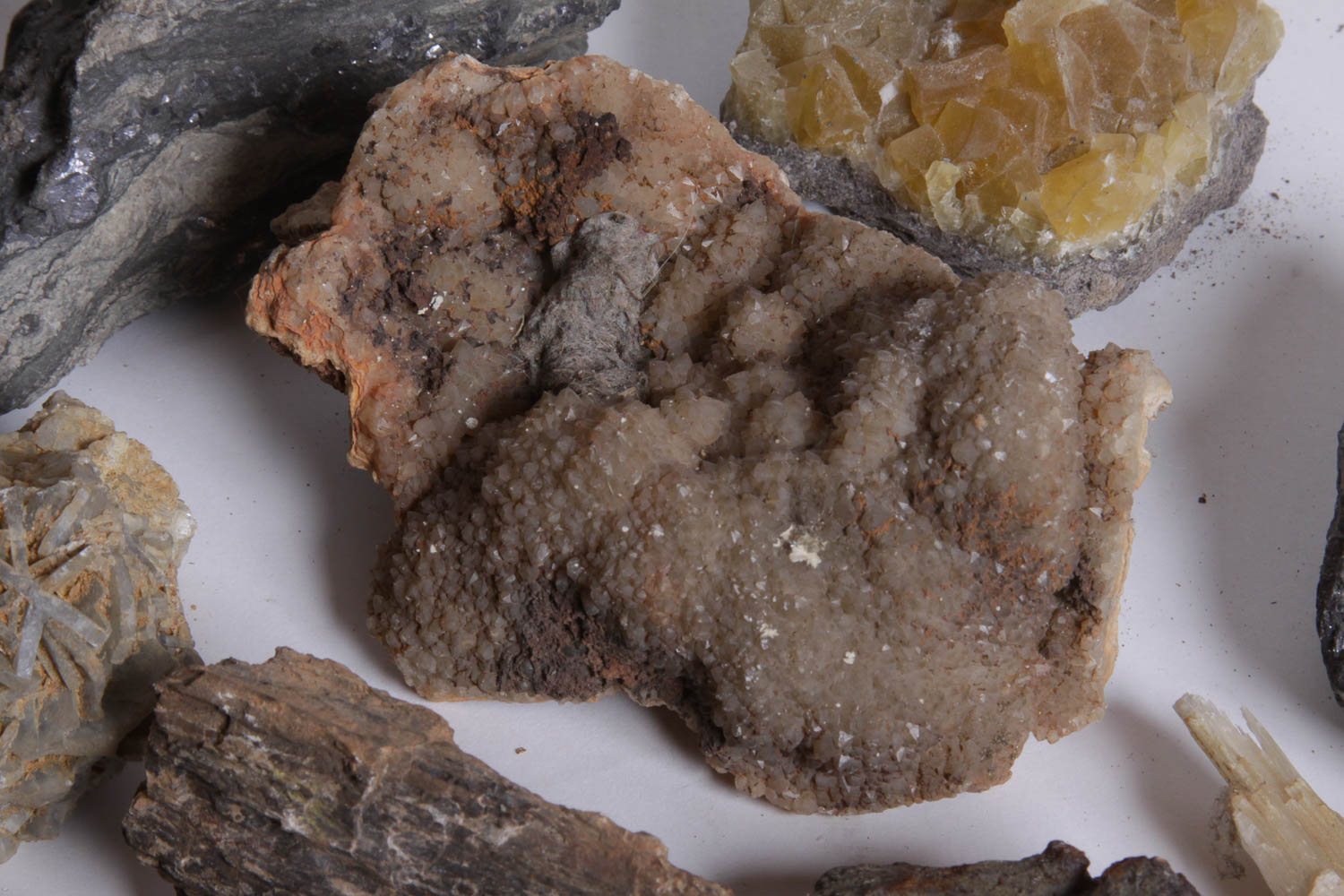 Collection of Rocks, Minerals, Fossils and Crystals