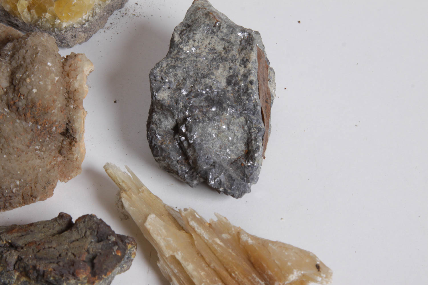 Collection of Rocks, Minerals, Fossils and Crystals