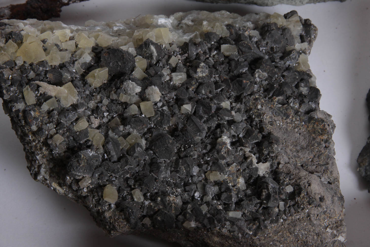 Collection of Rocks, Minerals, Fossils and Crystals