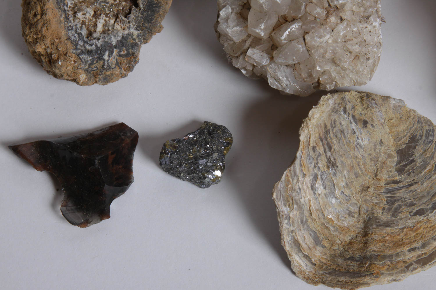 Collection of Rocks, Minerals, Fossils and Crystals