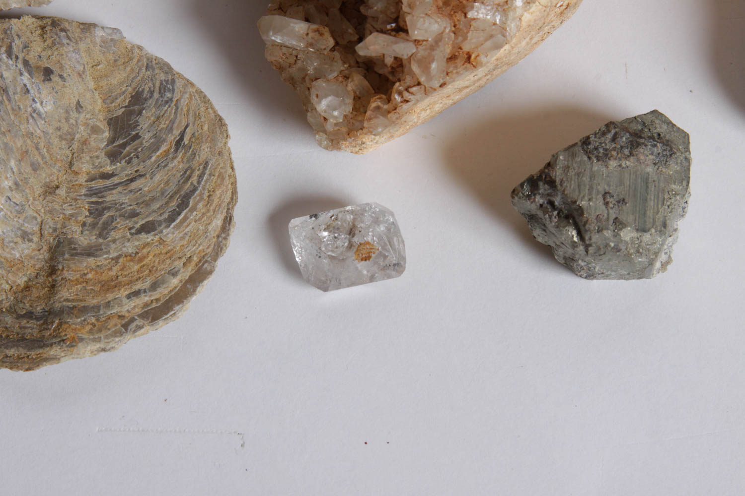 Collection of Rocks, Minerals, Fossils and Crystals