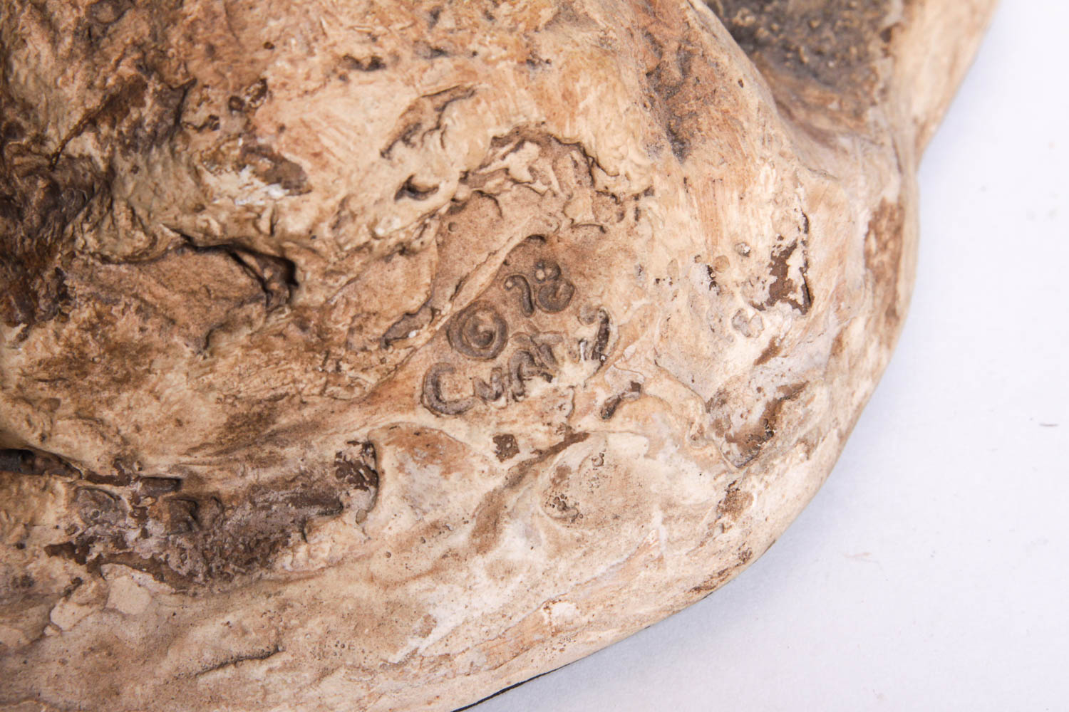 Cyrus Signed Resin Sculpture