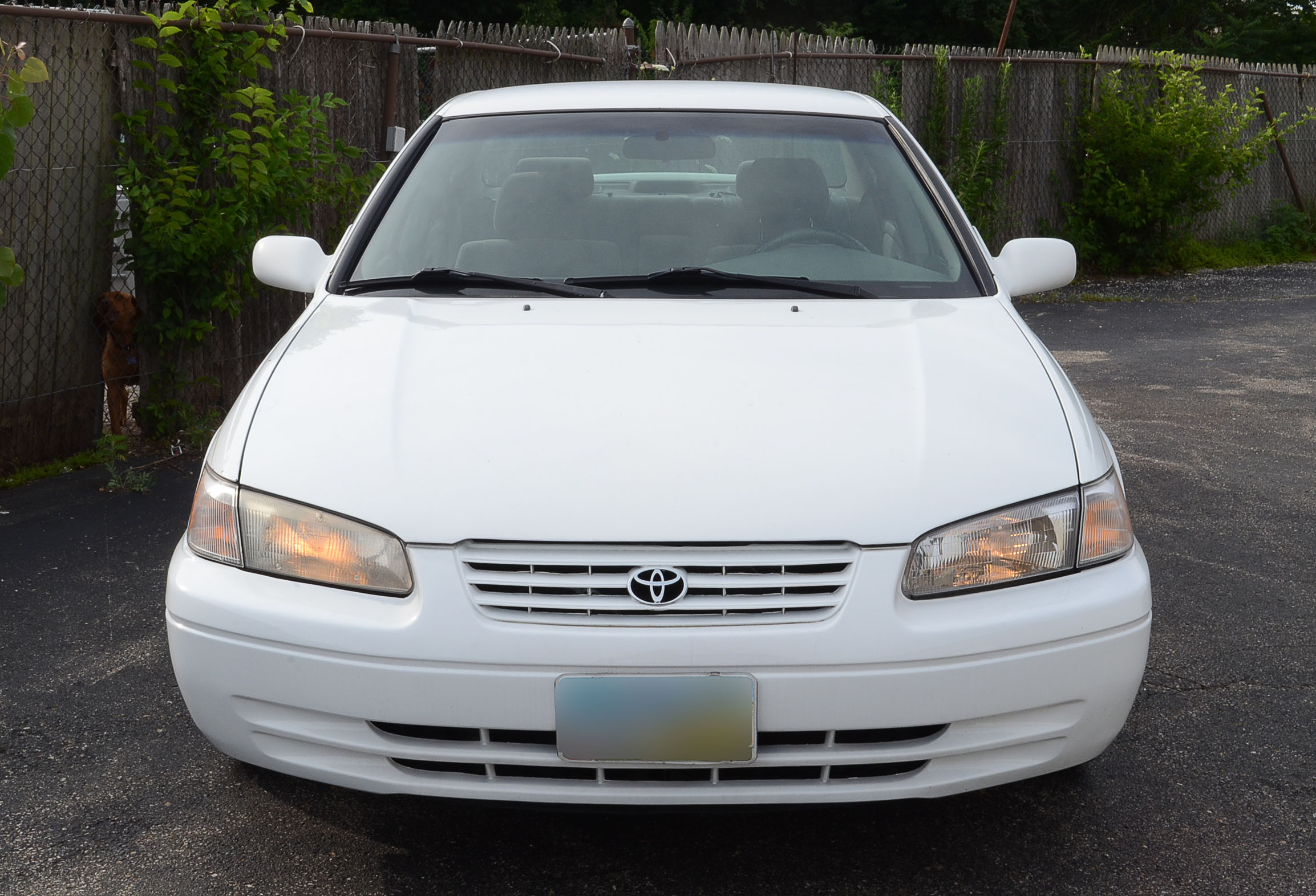 1999 White Toyota Camry LE