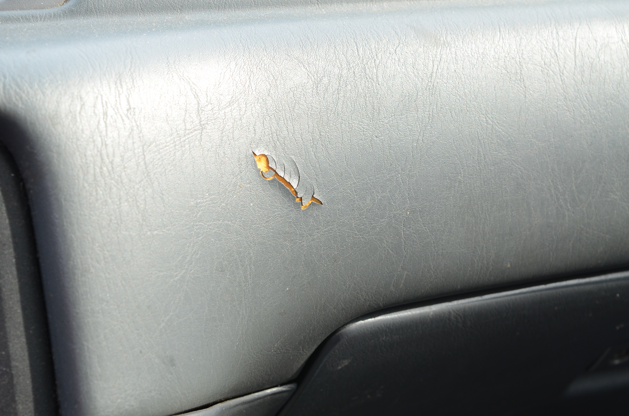 1999 White Toyota Camry LE