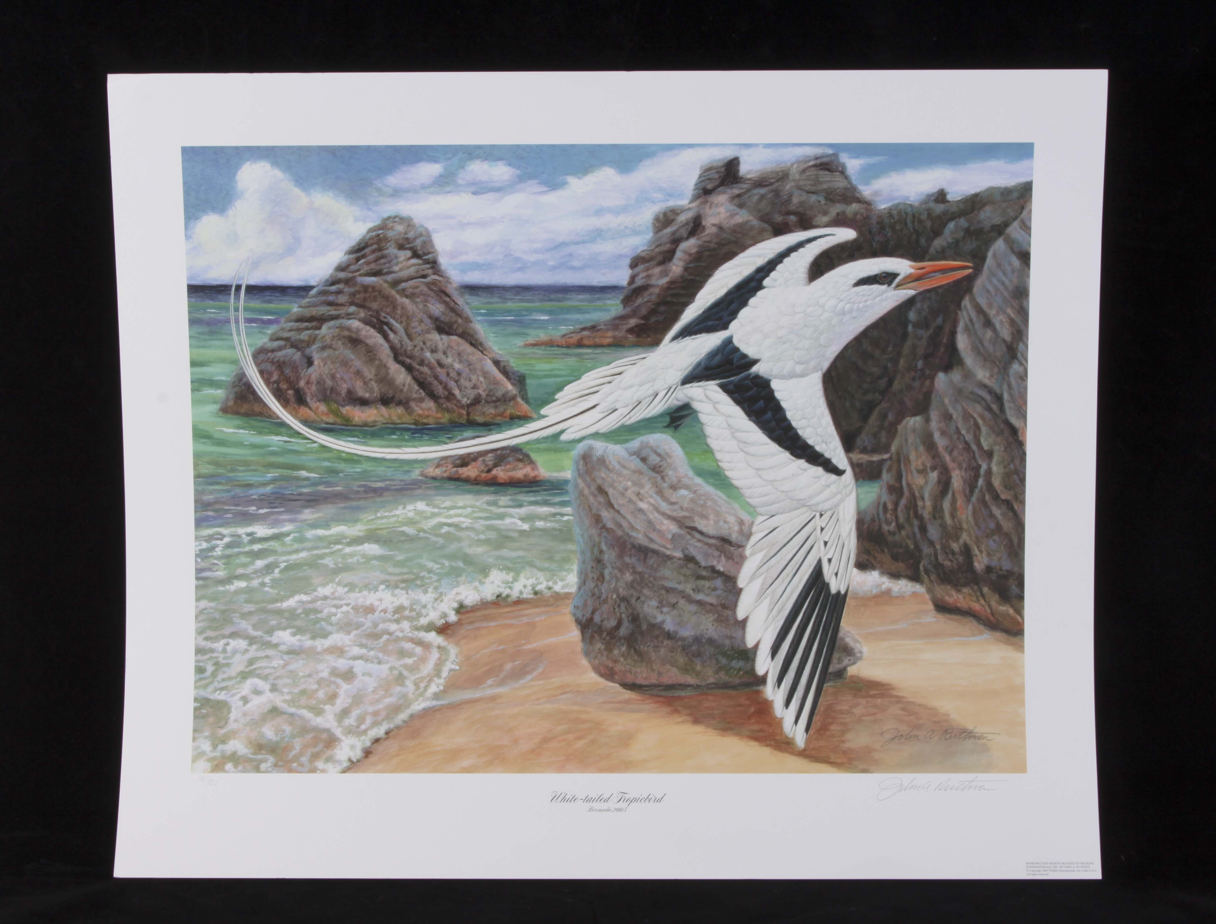 Signed/Numbered Ruthven Lithograph "White-tailed Tropicbird"