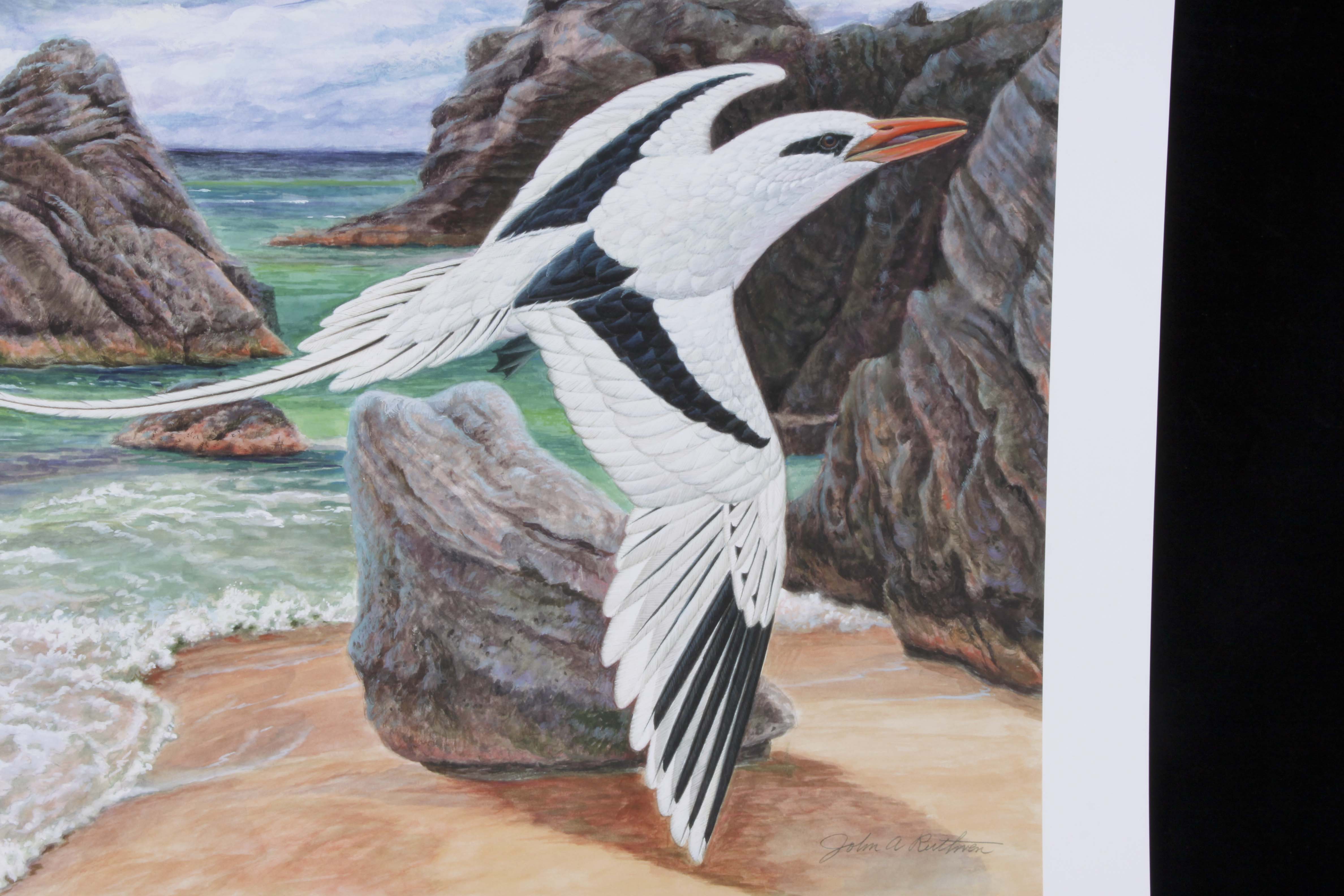 Signed/Numbered Ruthven Lithograph "White-tailed Tropicbird"