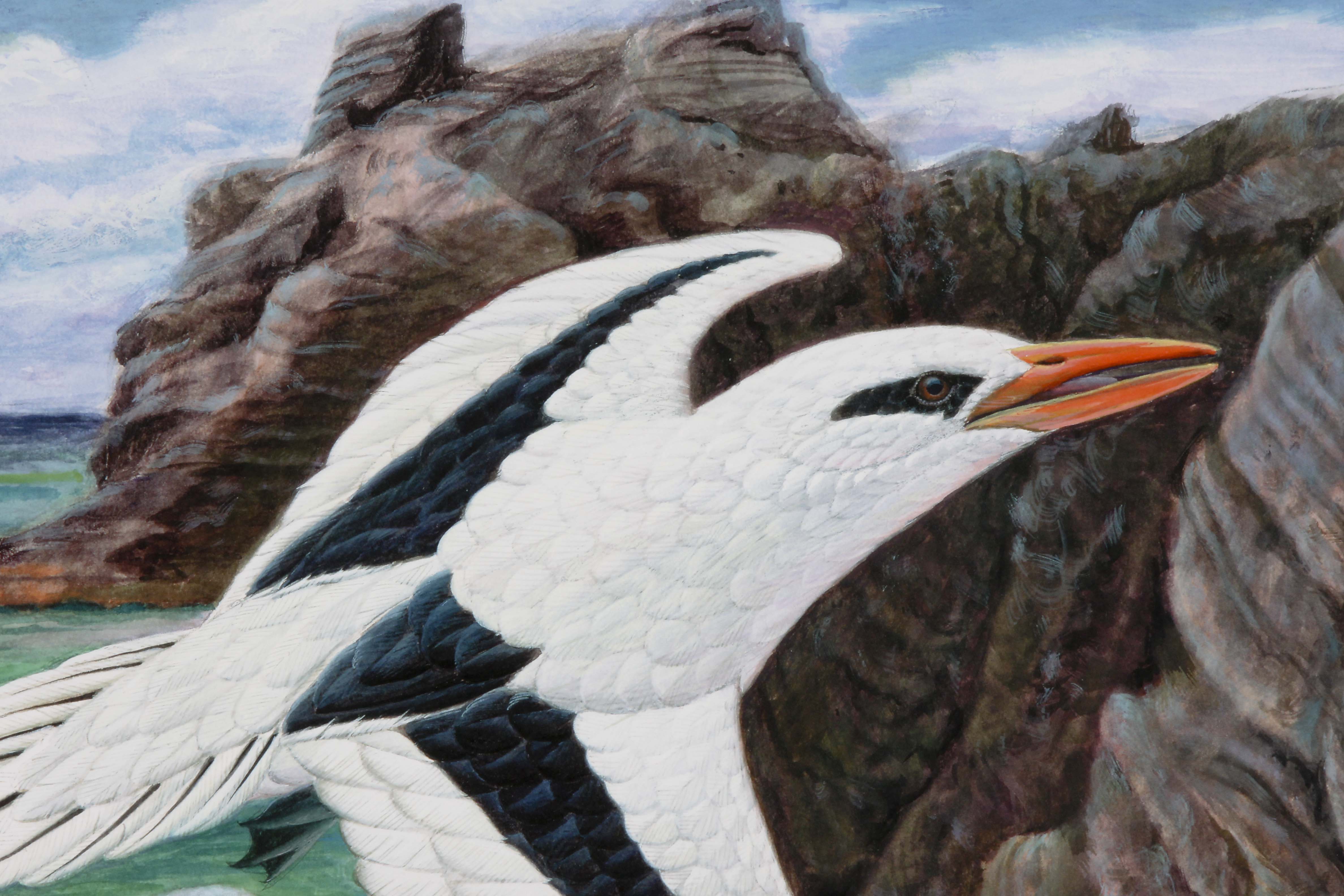 Signed/Numbered Ruthven Lithograph "White-tailed Tropicbird"