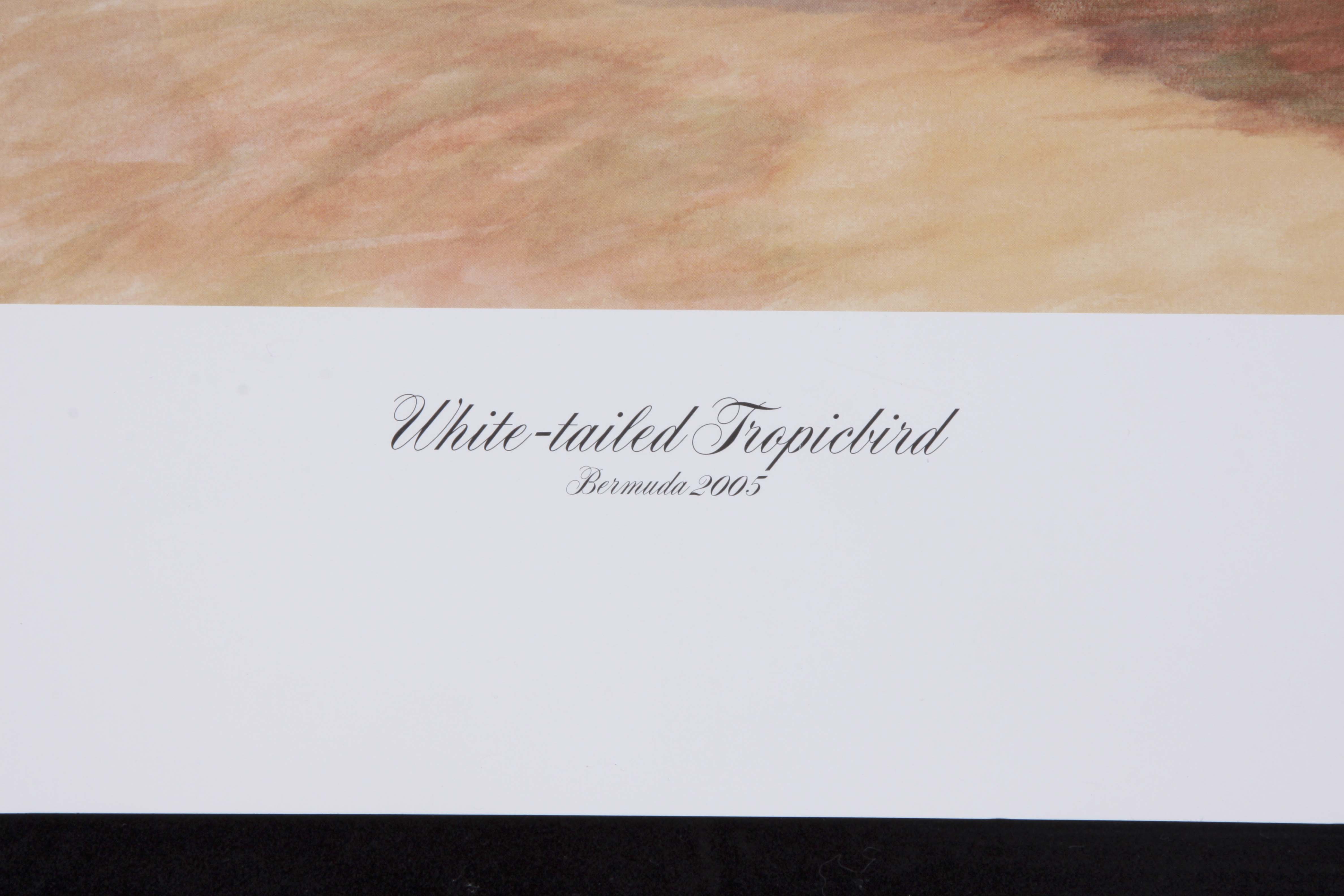 Signed/Numbered Ruthven Lithograph "White-tailed Tropicbird"