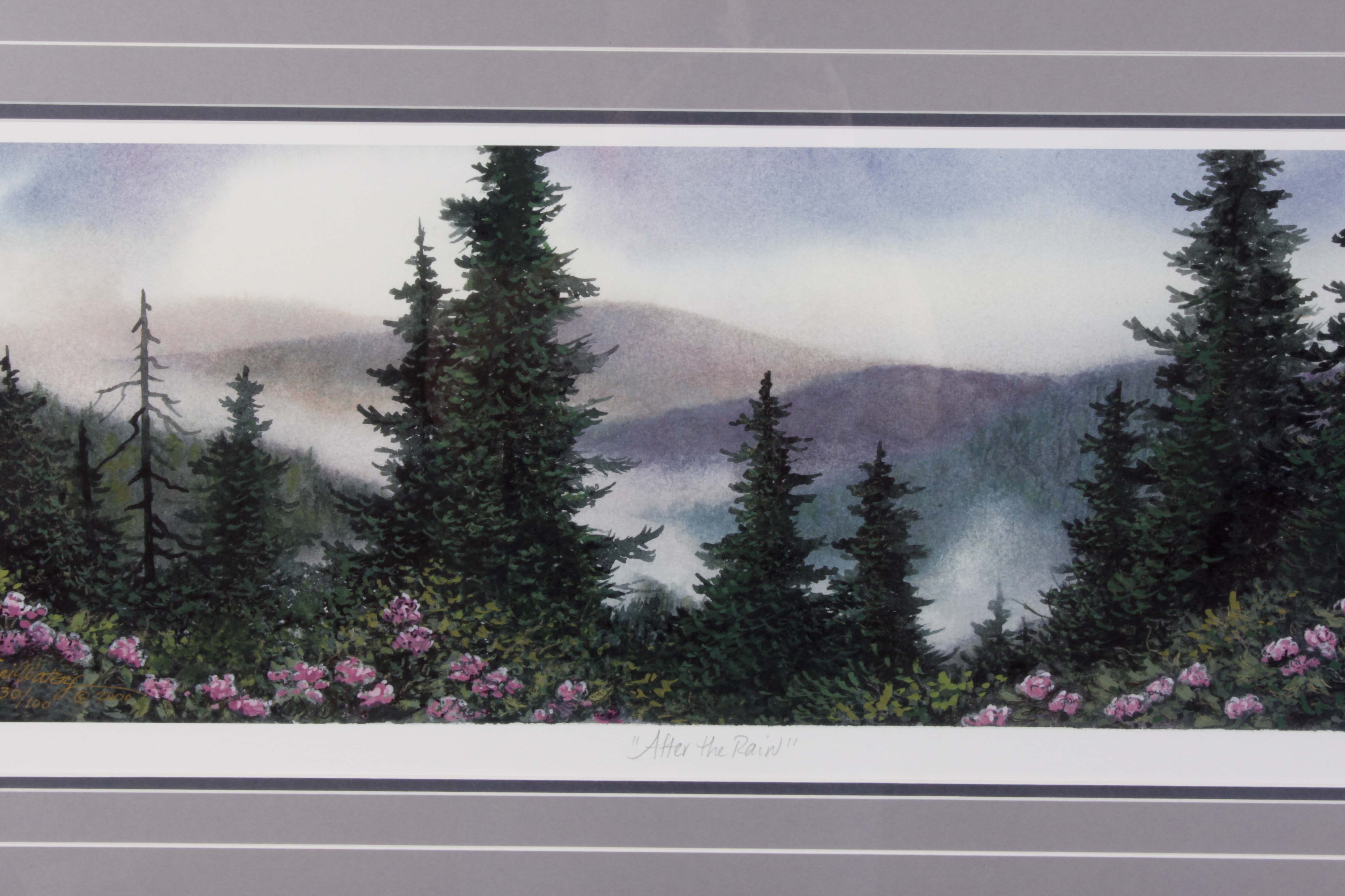 Terri Waters Signed/Numbered "After The Rain" Offset Lithograph