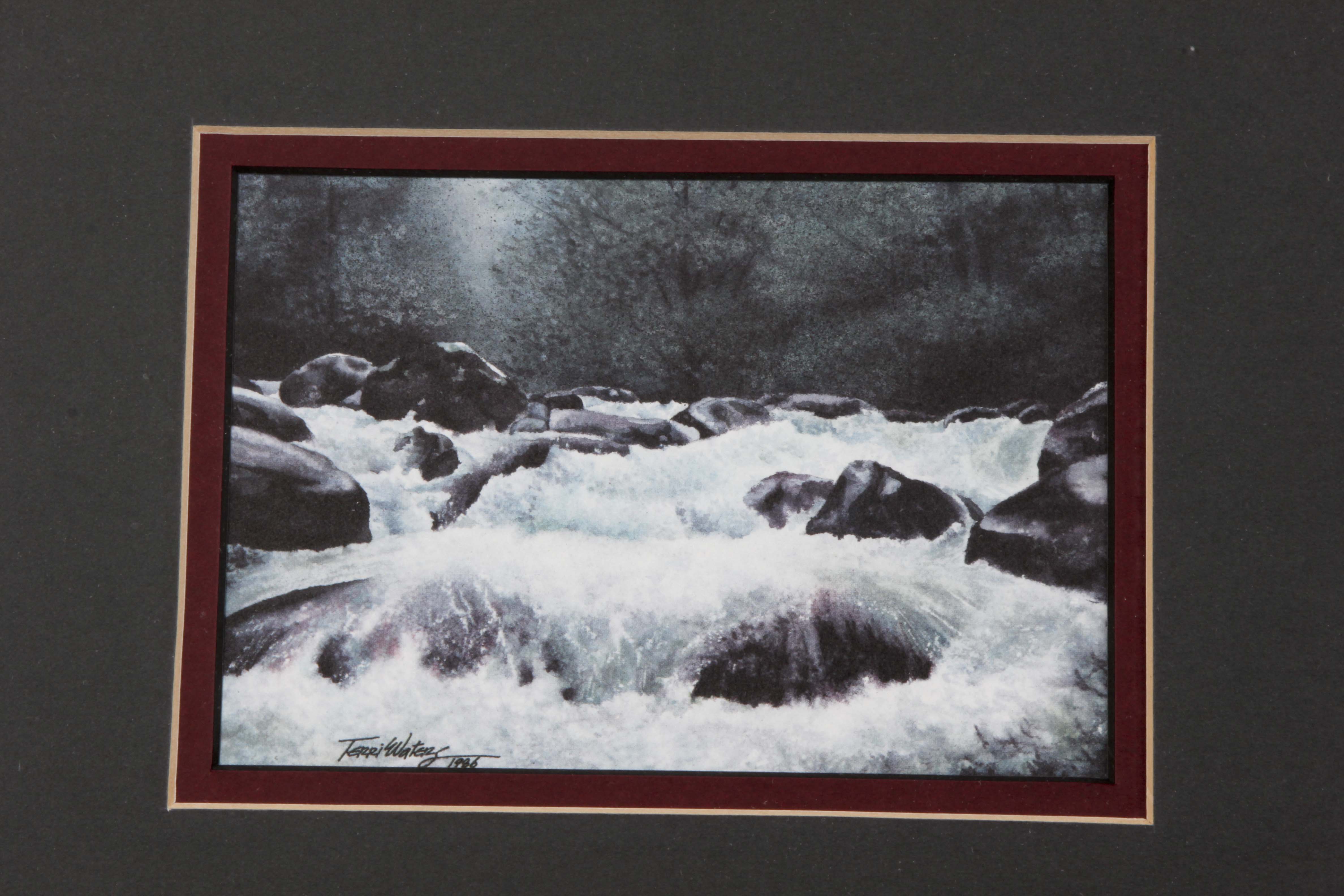 Pair of Framed Terri Waters Prints