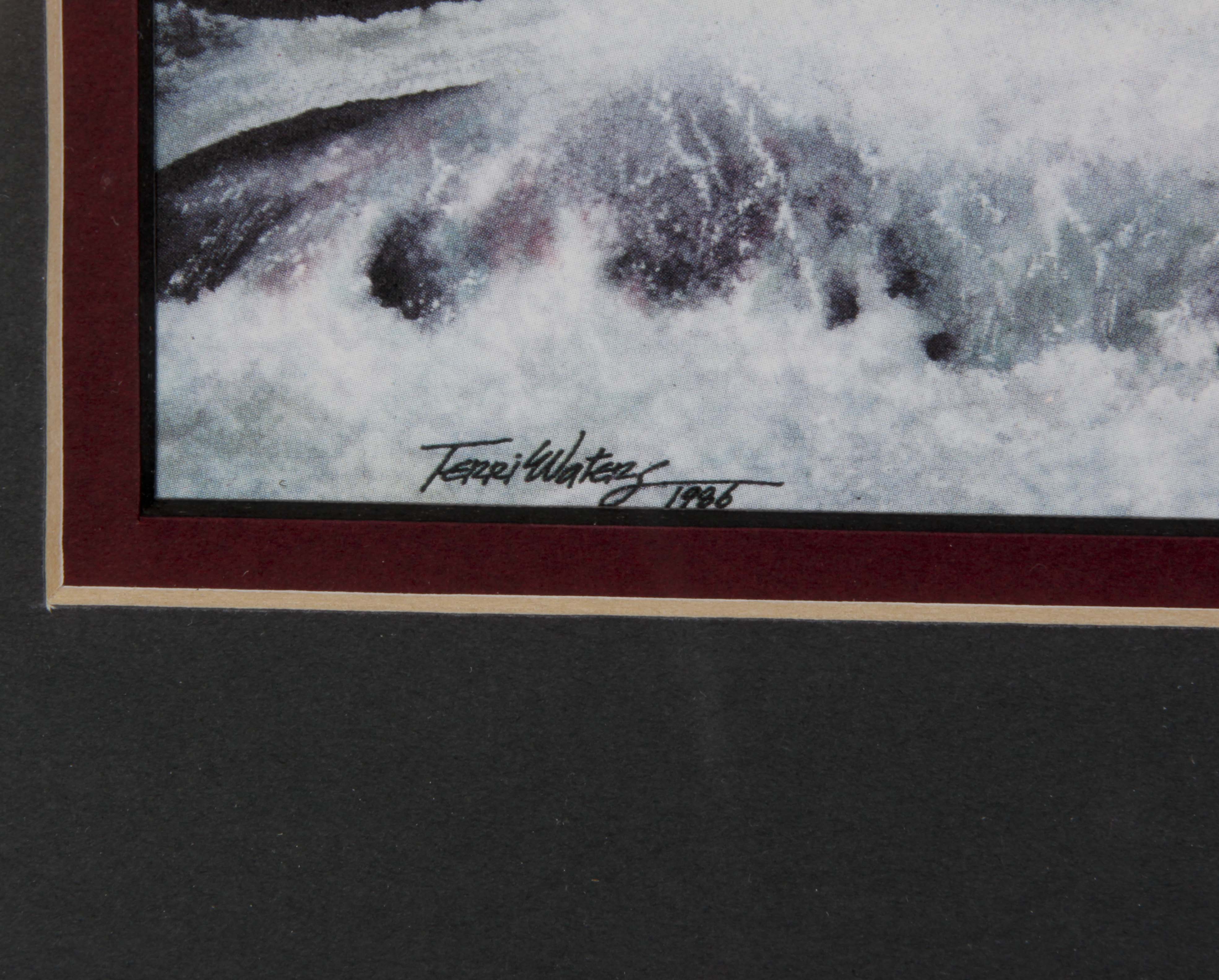 Pair of Framed Terri Waters Prints