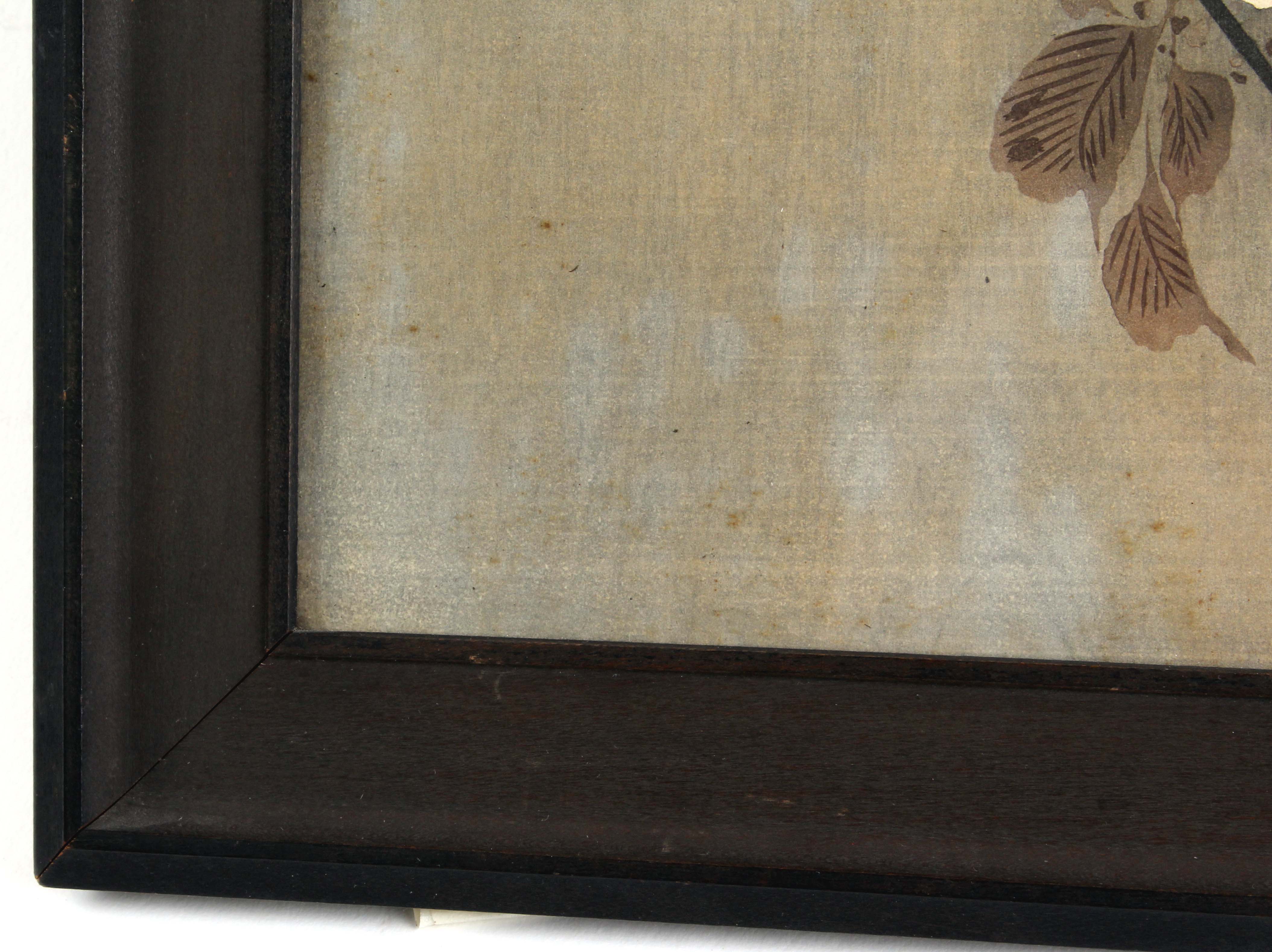 Japanese Woodblock Print by Ohara Koson from the Collection of Robert O. Muller