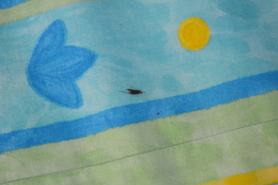 Twin Size Bed, Bedding Ensemble and Chair