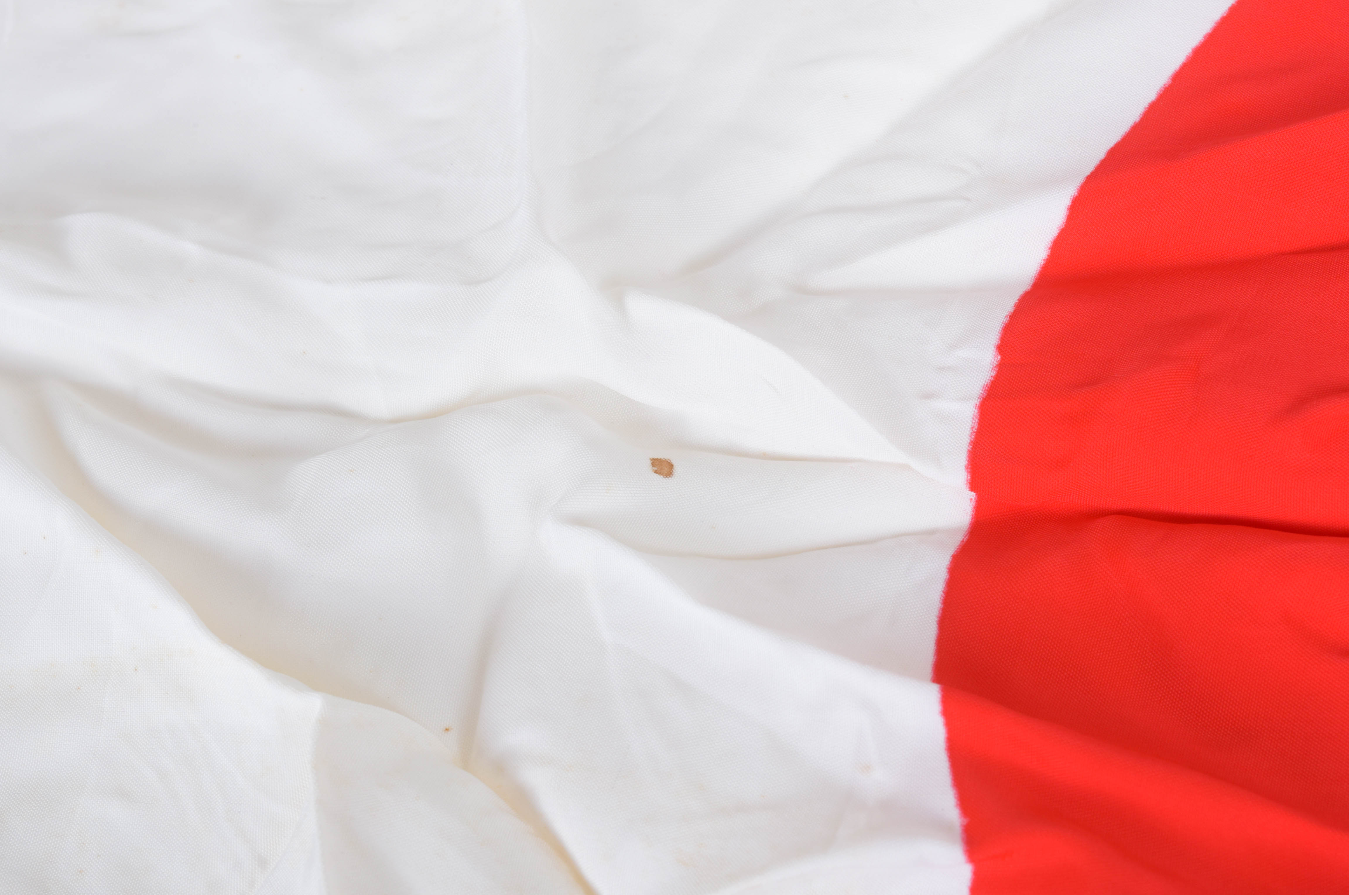 Japanese Flag
