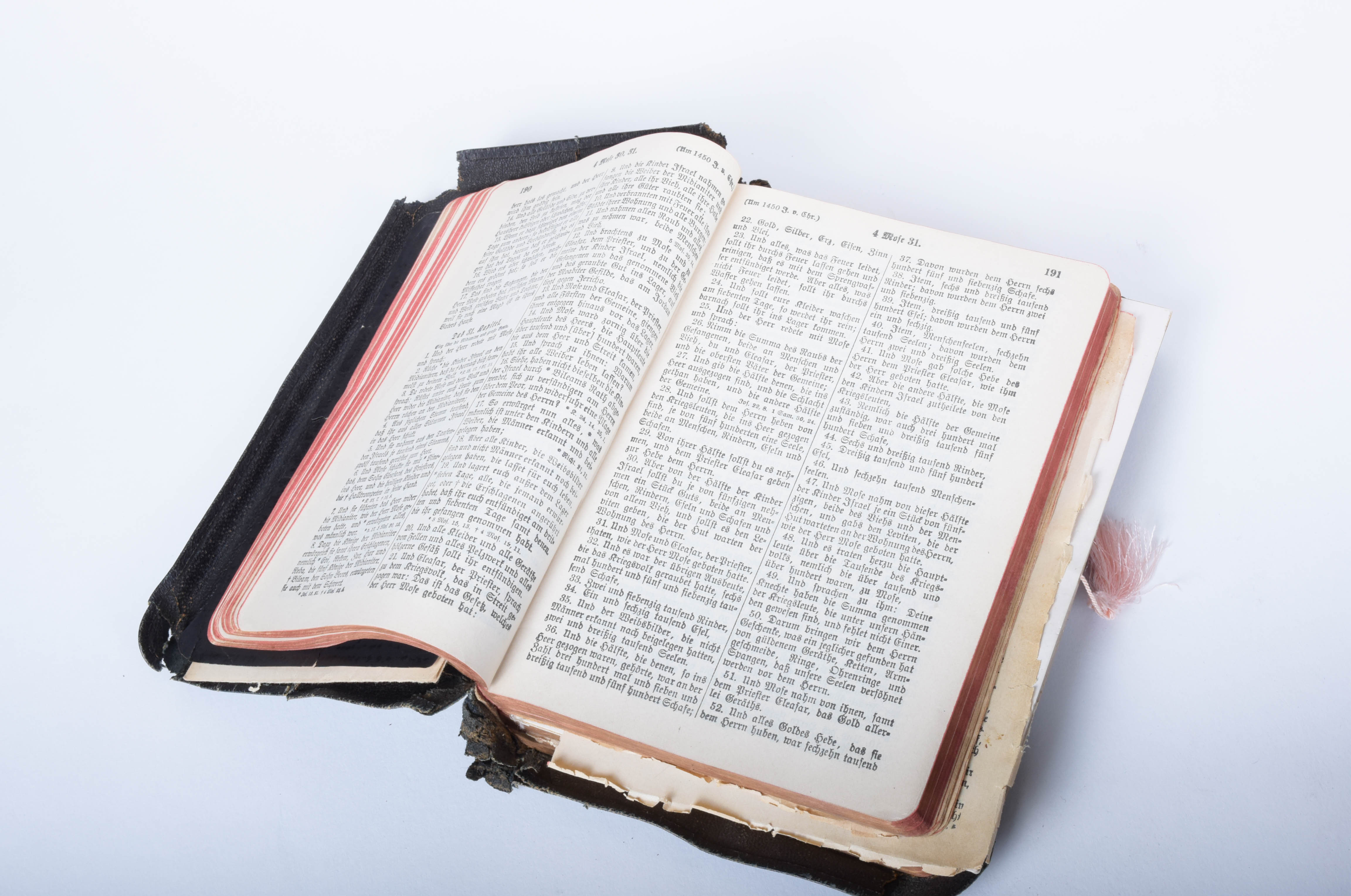 Leather Bound German Bibles