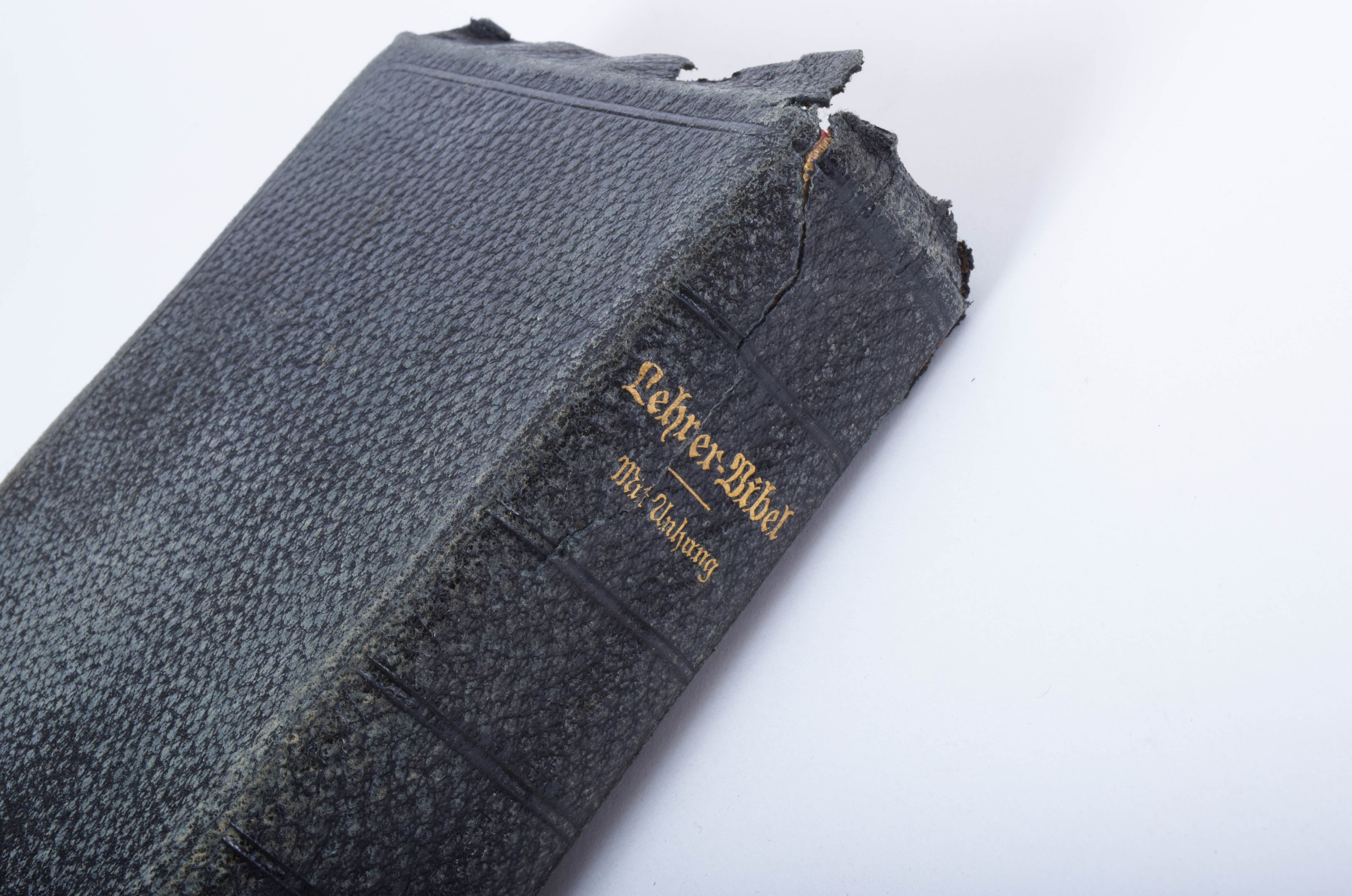 Leather Bound German Bibles