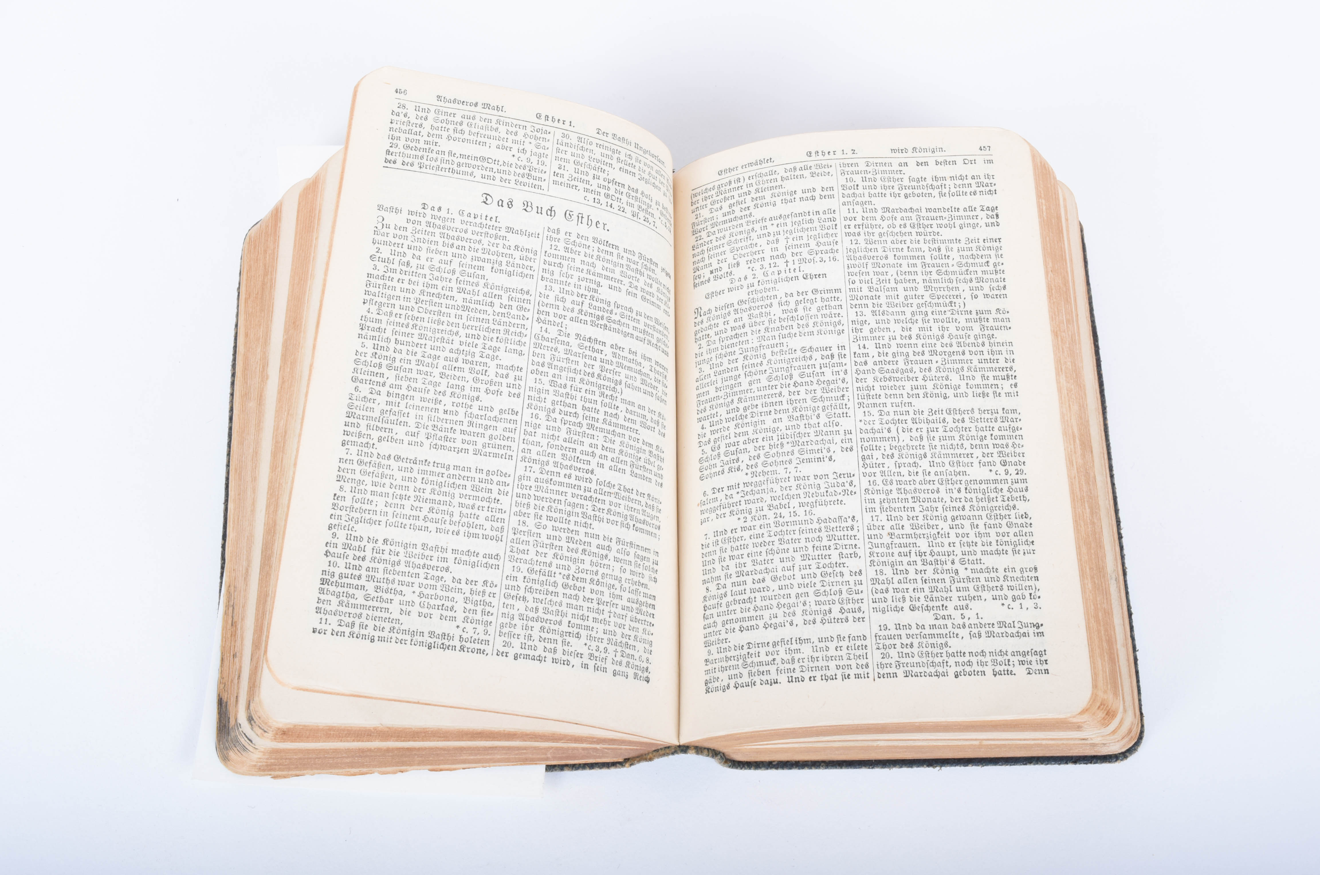 Leather Bound German Bibles