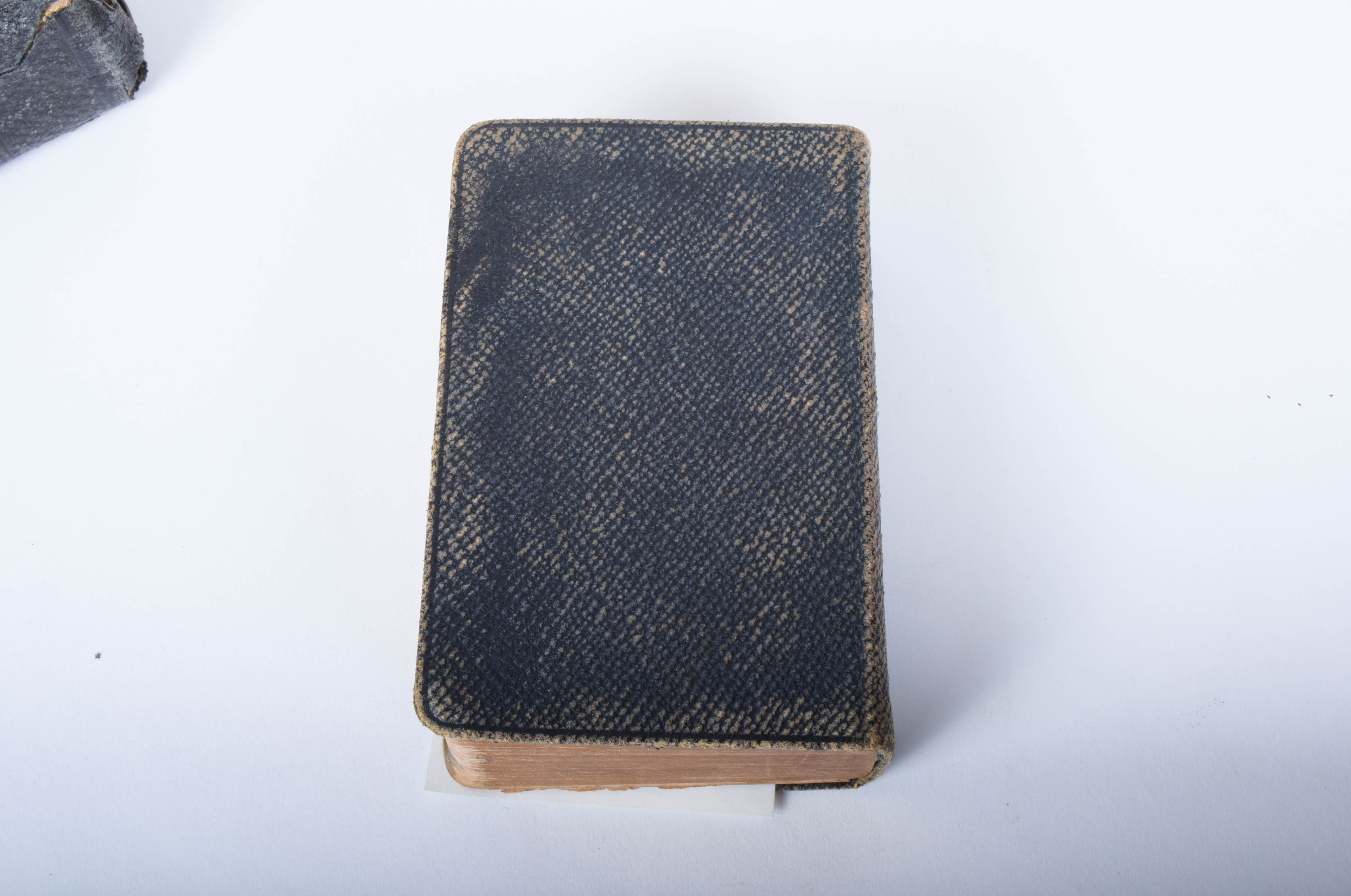 Leather Bound German Bibles