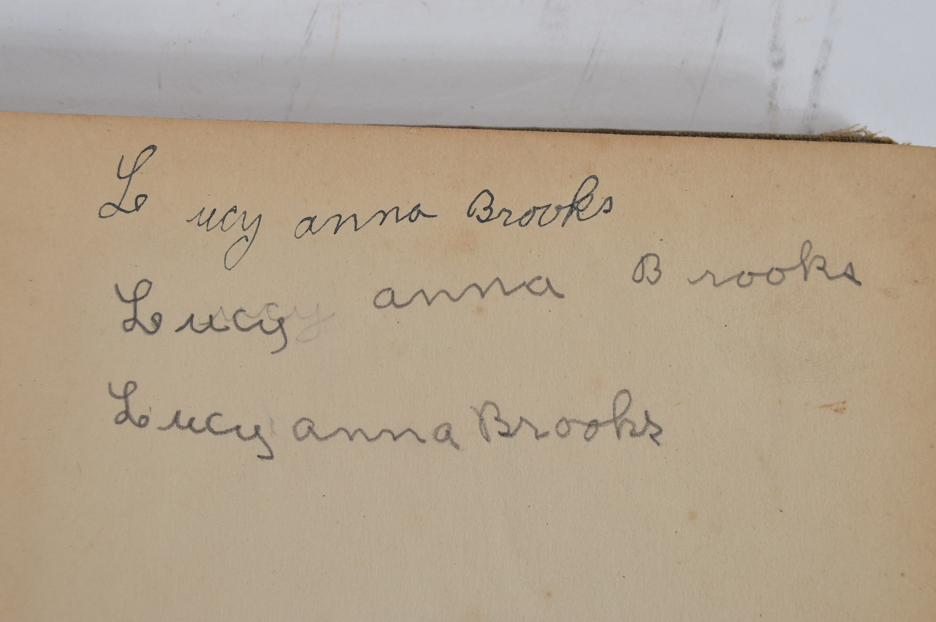 Antique and Vintage Educational Books and Wooden Bookshelf