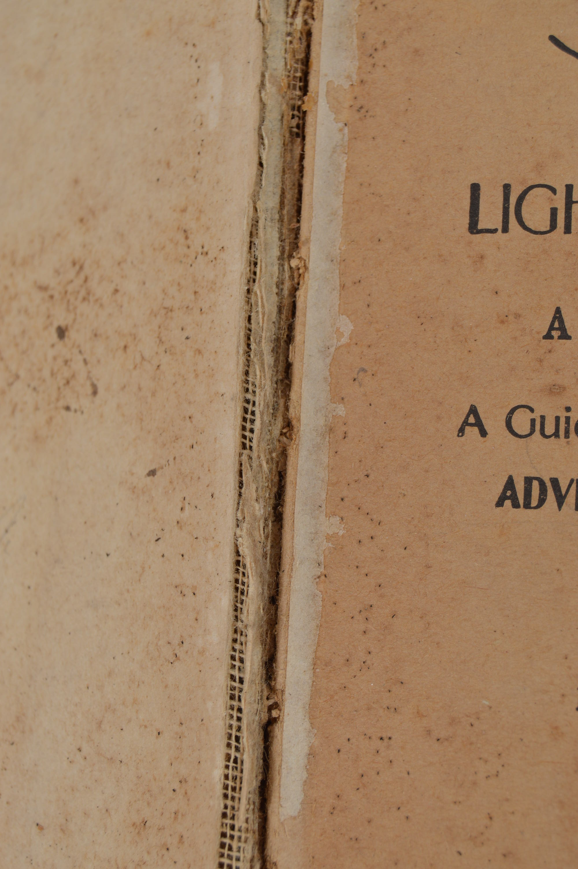 Antique and Vintage Educational Books and Wooden Bookshelf